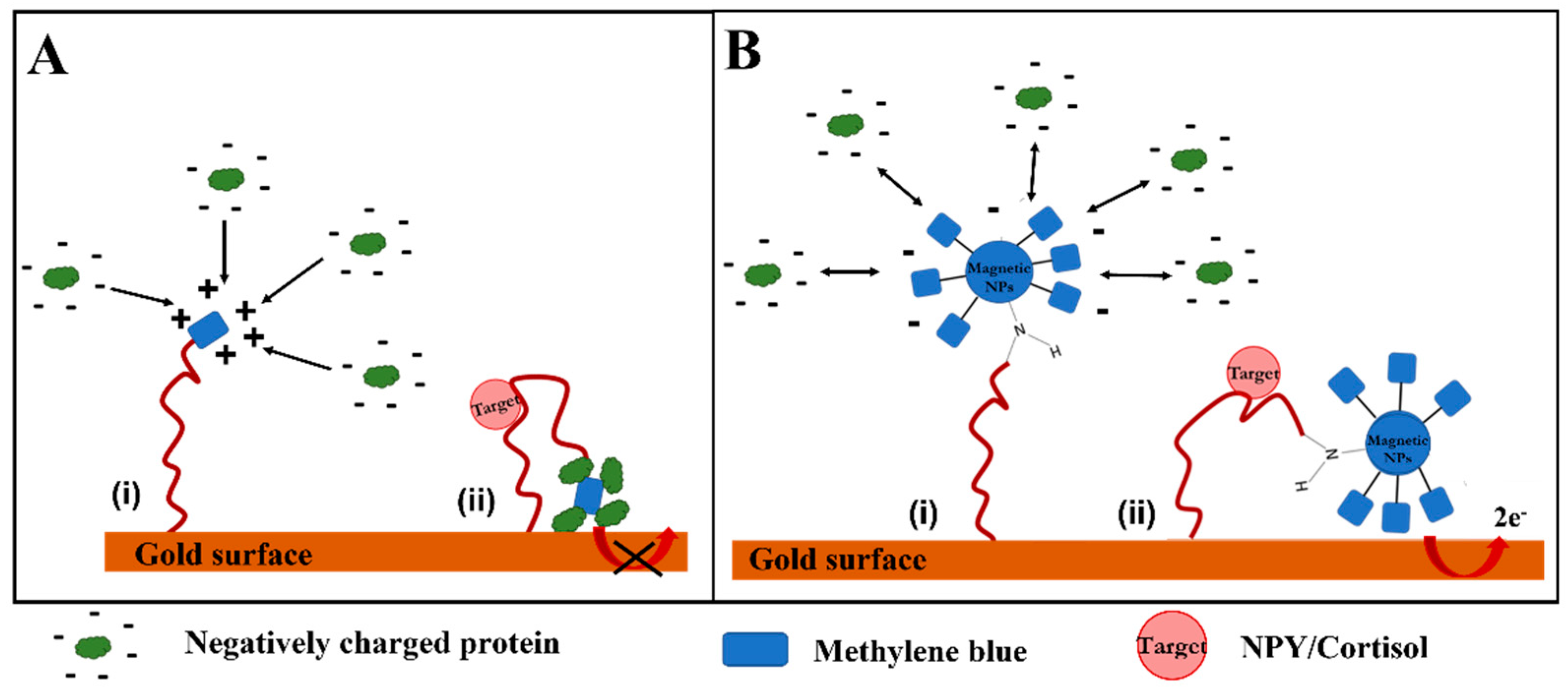 Chemosensors 10 00153 sch002
