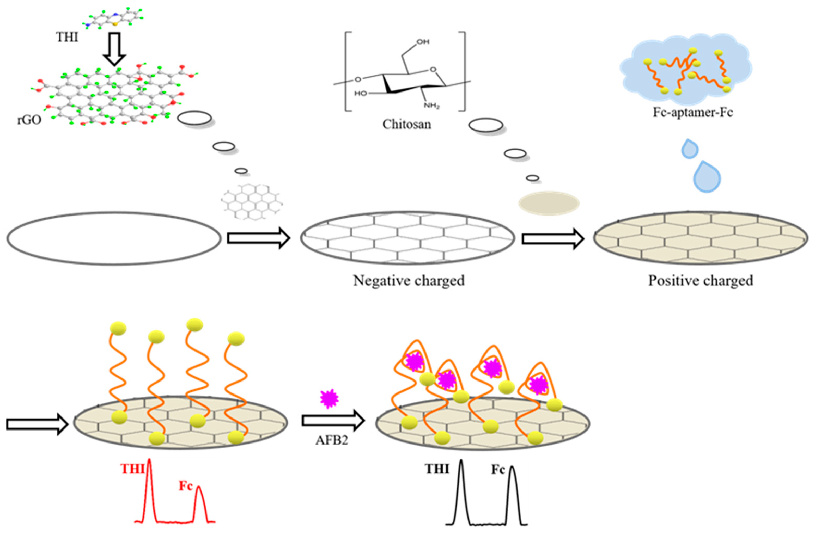 Chemosensors 10 00154 sch001