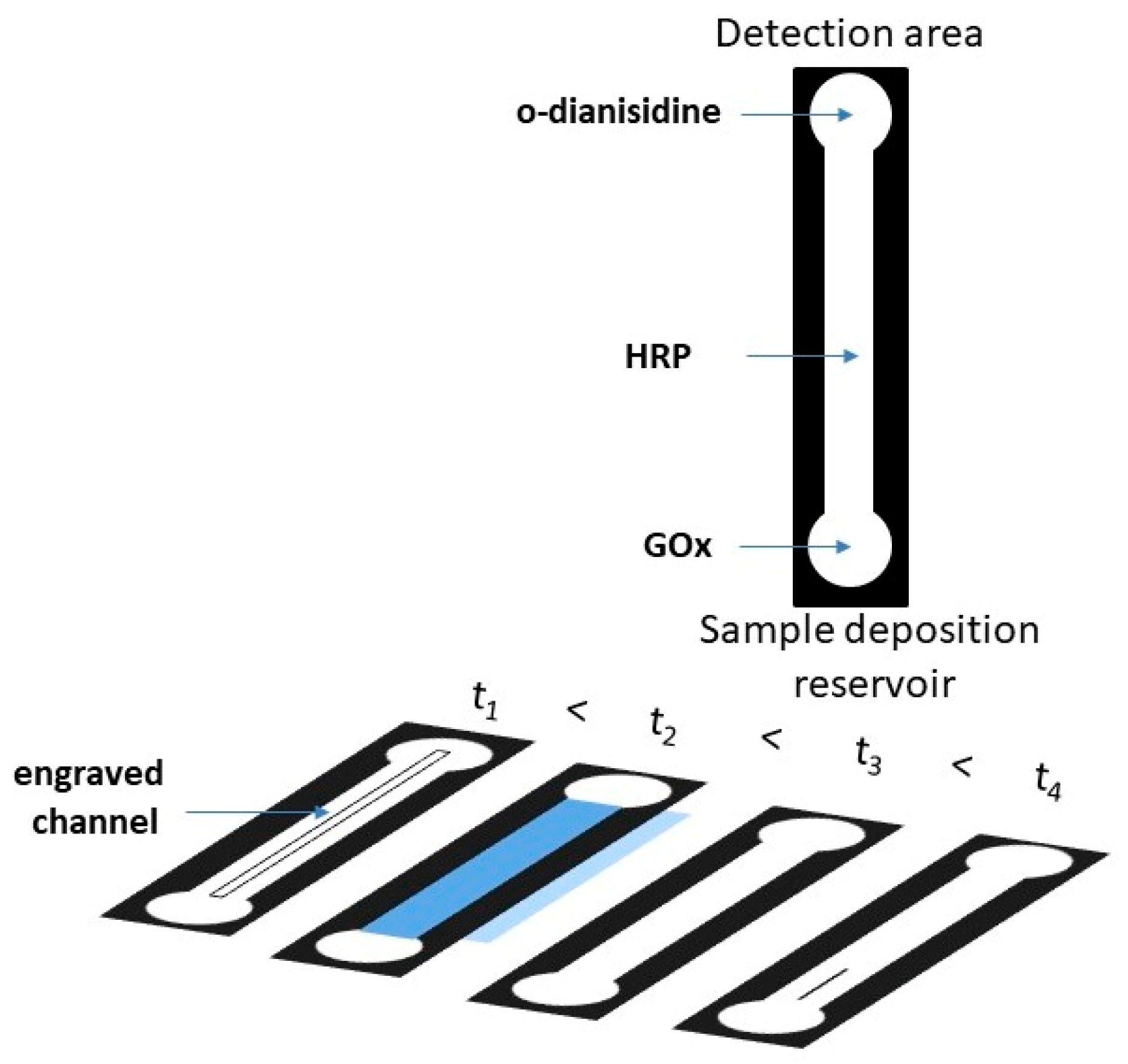 Chemosensors 10 00155 g002