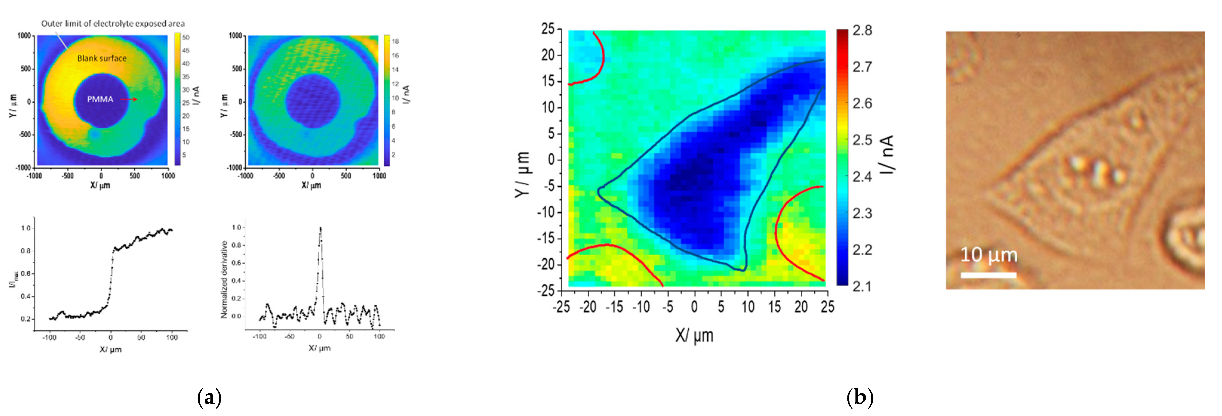 Chemosensors 10 00156 g006