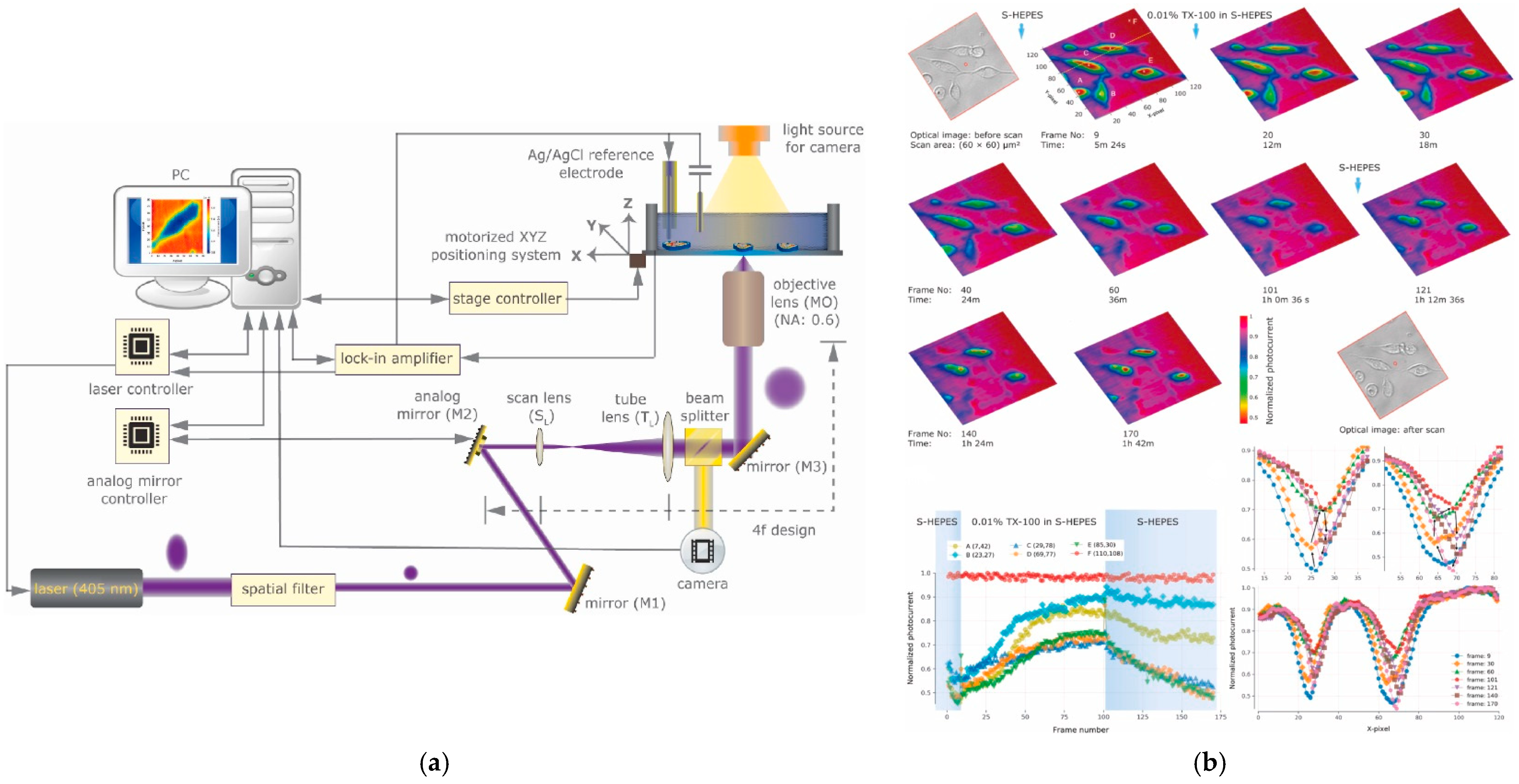 Chemosensors 10 00156 g007