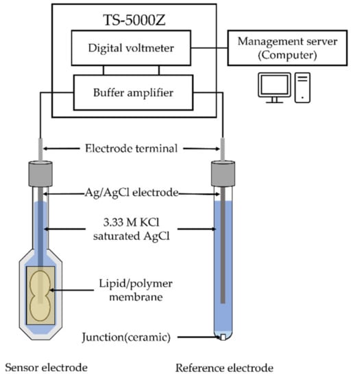 Chemosensors 10 00166 g002 550
