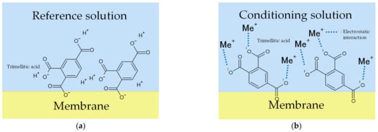 Chemosensors 10 00166 g008 550