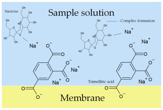 Chemosensors 10 00166 g012 550