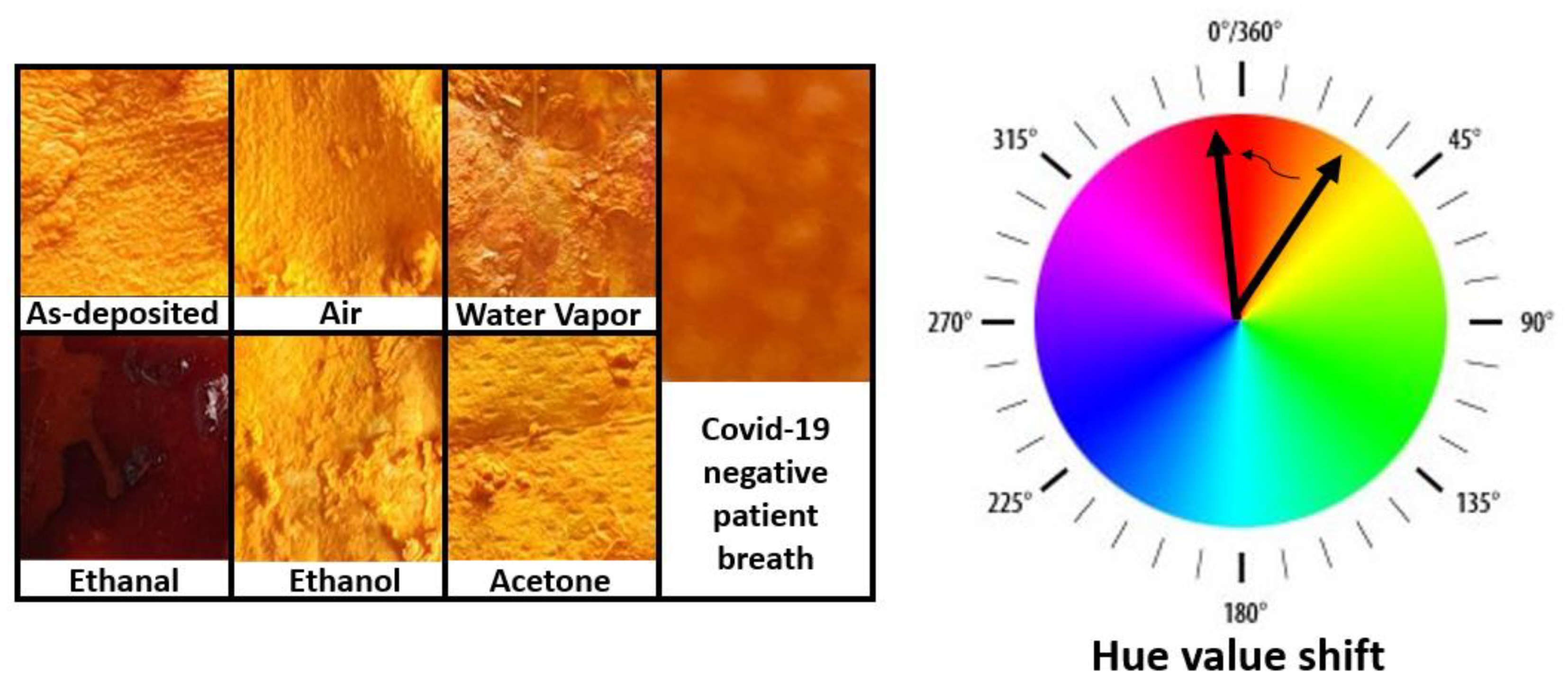 Chemosensors 10 00167 g001