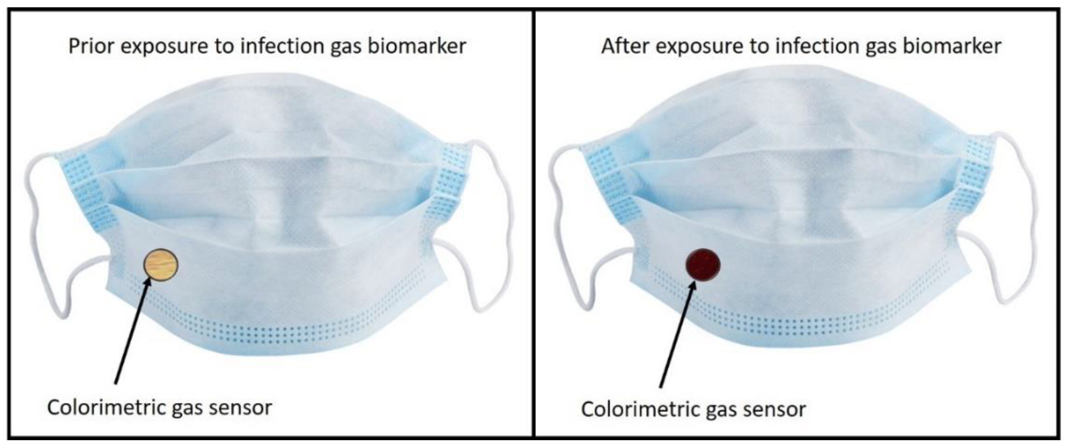 Chemosensors 10 00167 g006