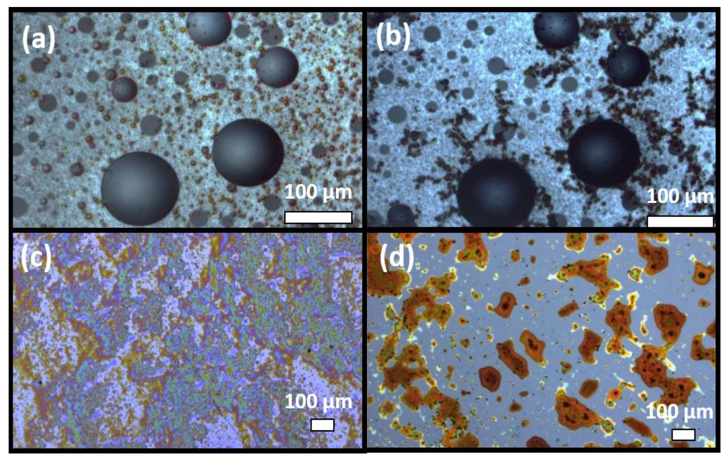 Chemosensors 10 00167 g009