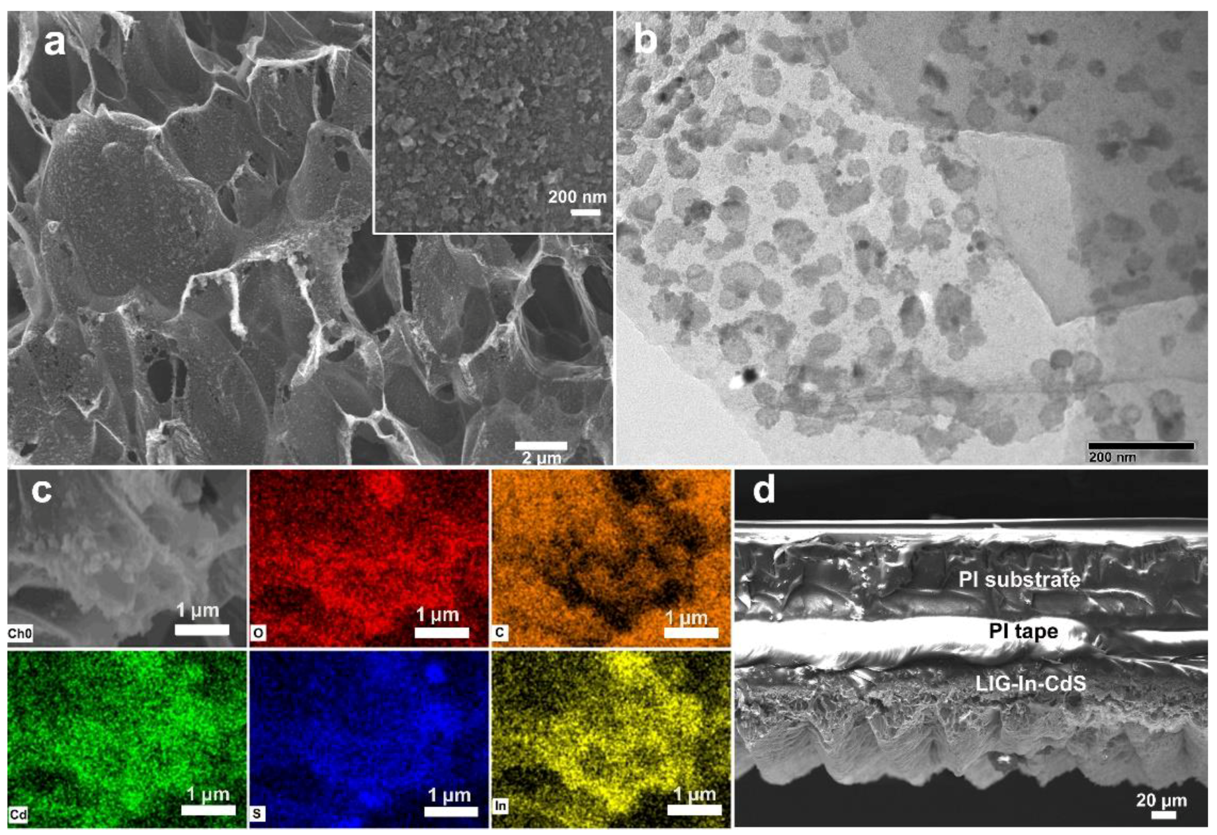 Chemosensors 10 00169 g003