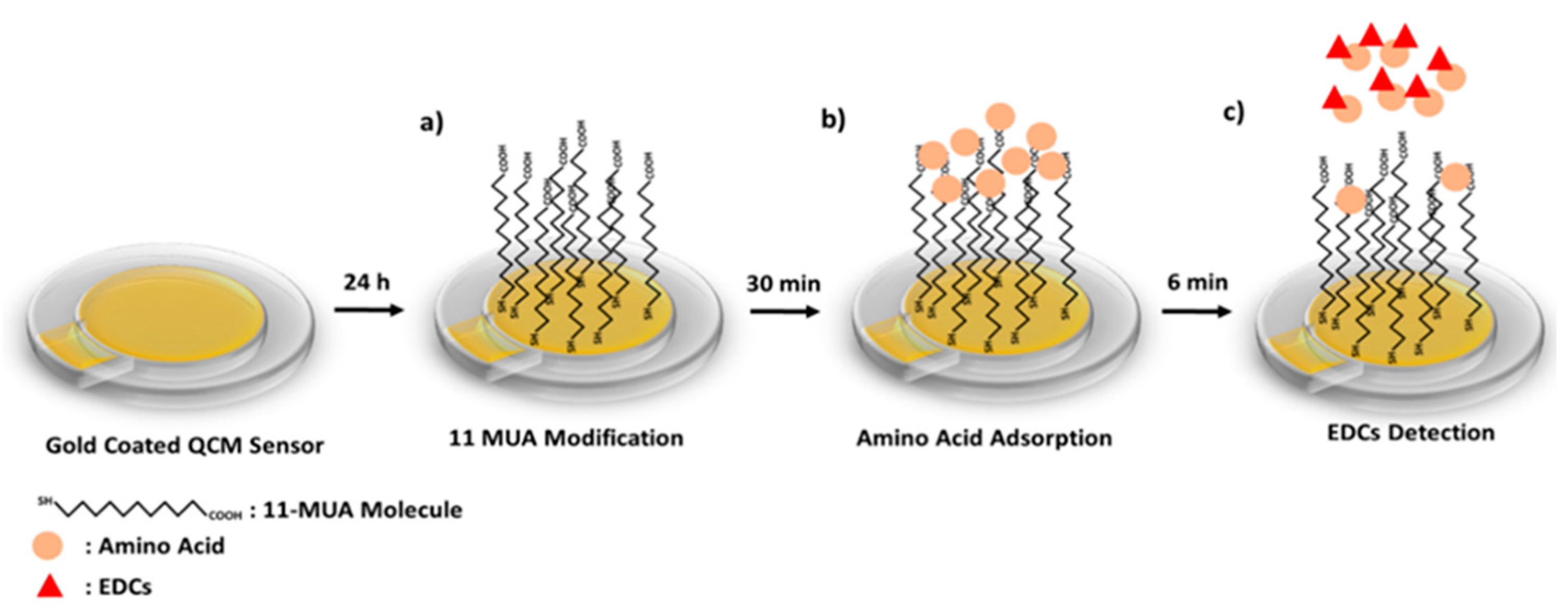 Chemosensors 10 00172 sch001