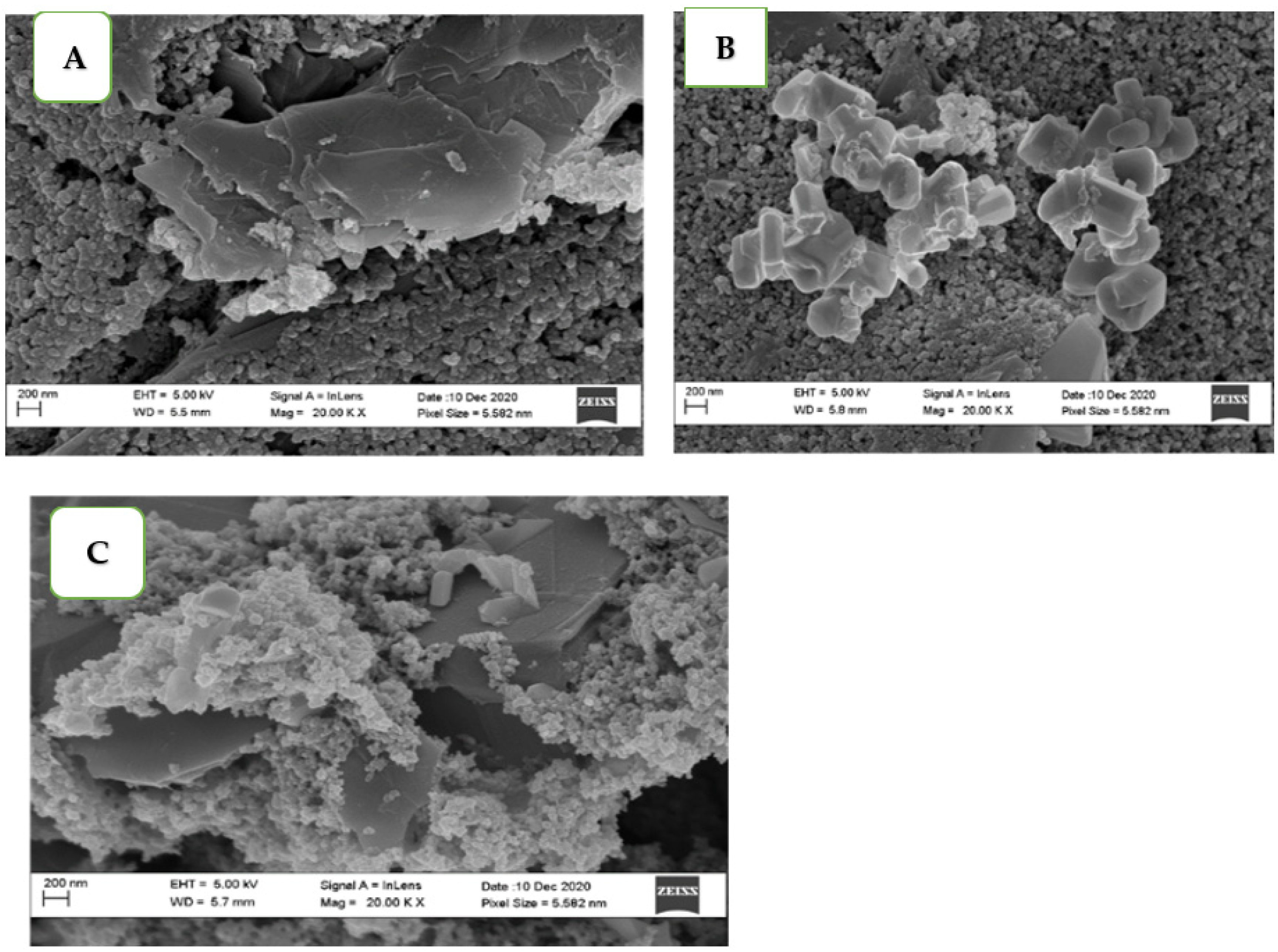 Chemosensors 10 00175 g008