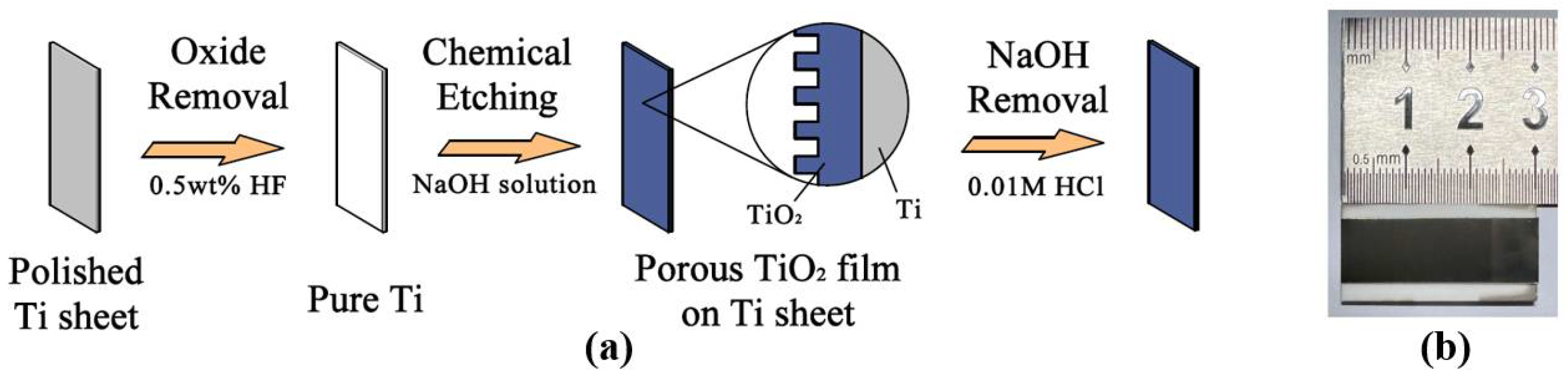 Chemosensors 10 00182 g001