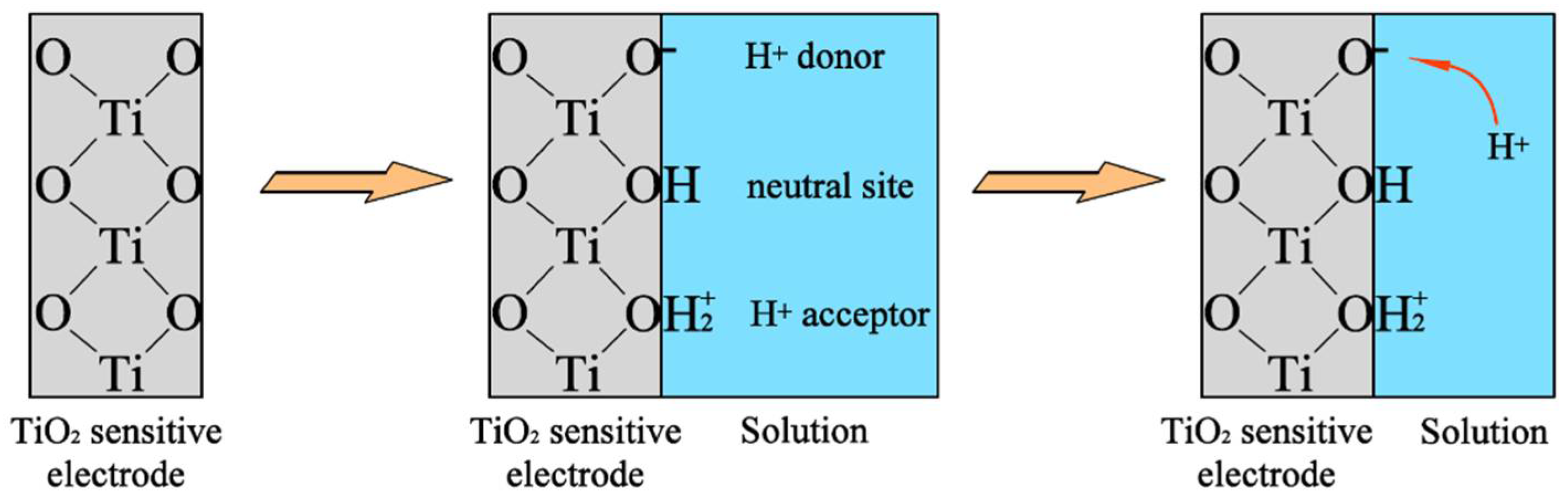 Chemosensors 10 00182 g007