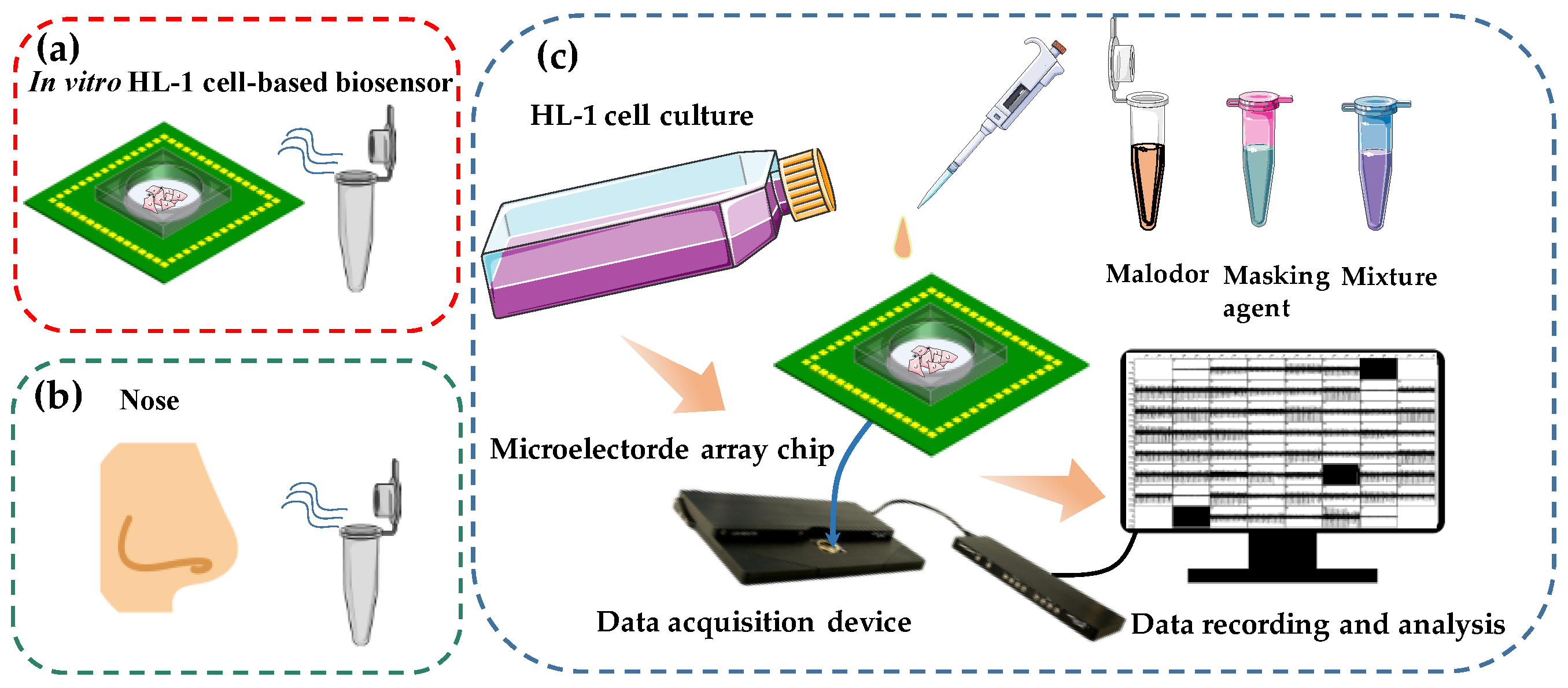 Chemosensors 10 00200 g001