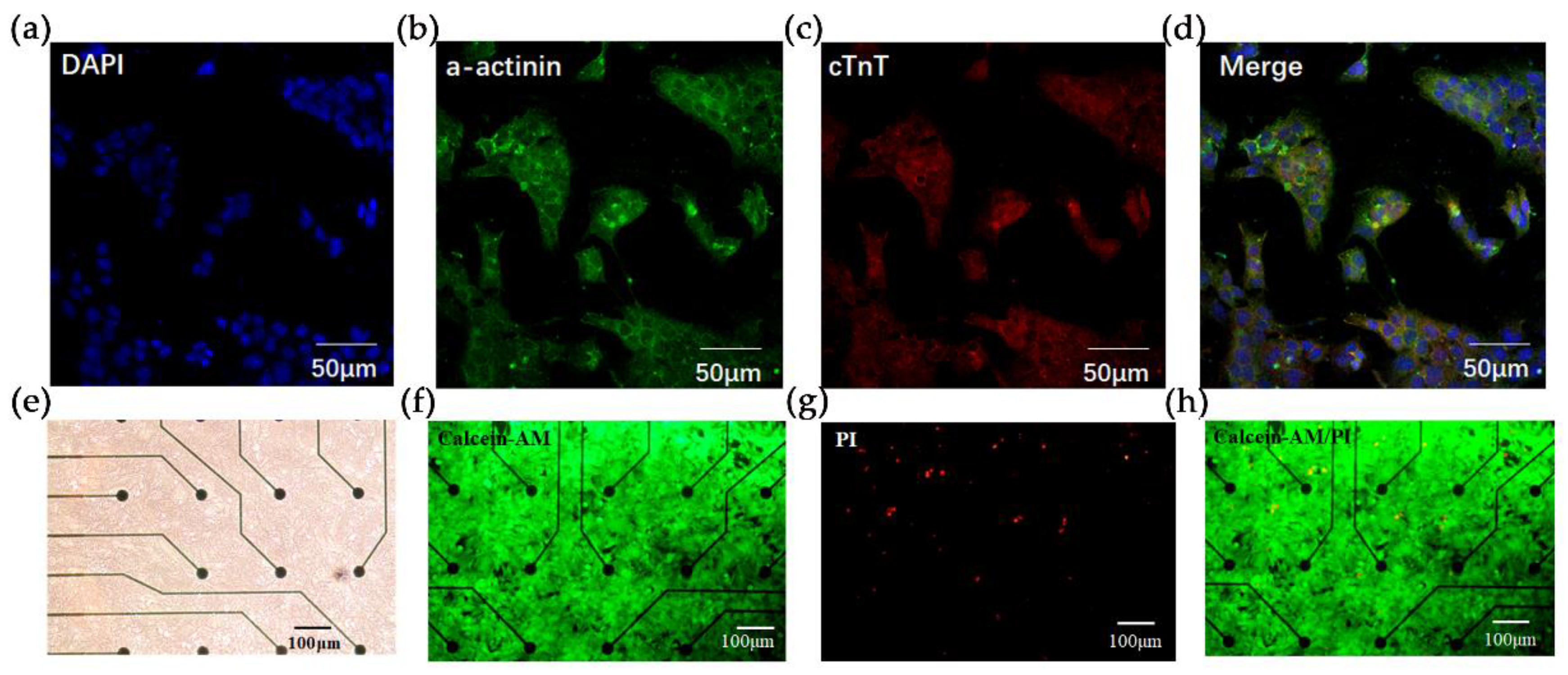 Chemosensors 10 00200 g002