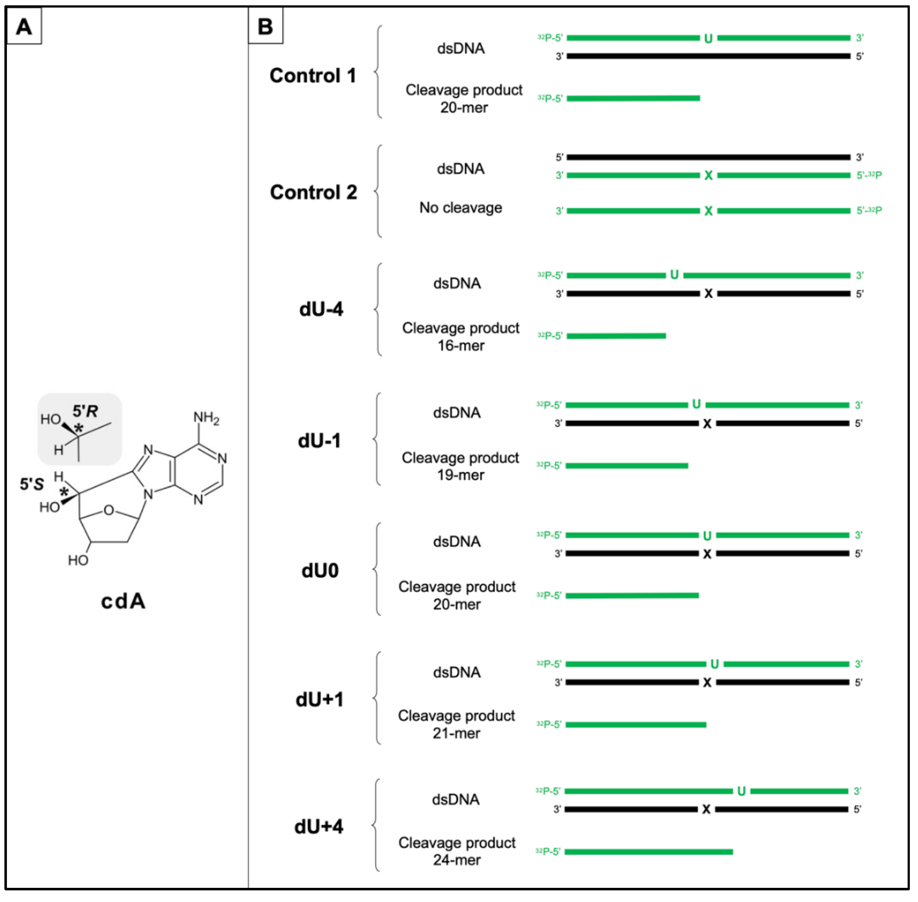 Chemosensors 10 00204 g002