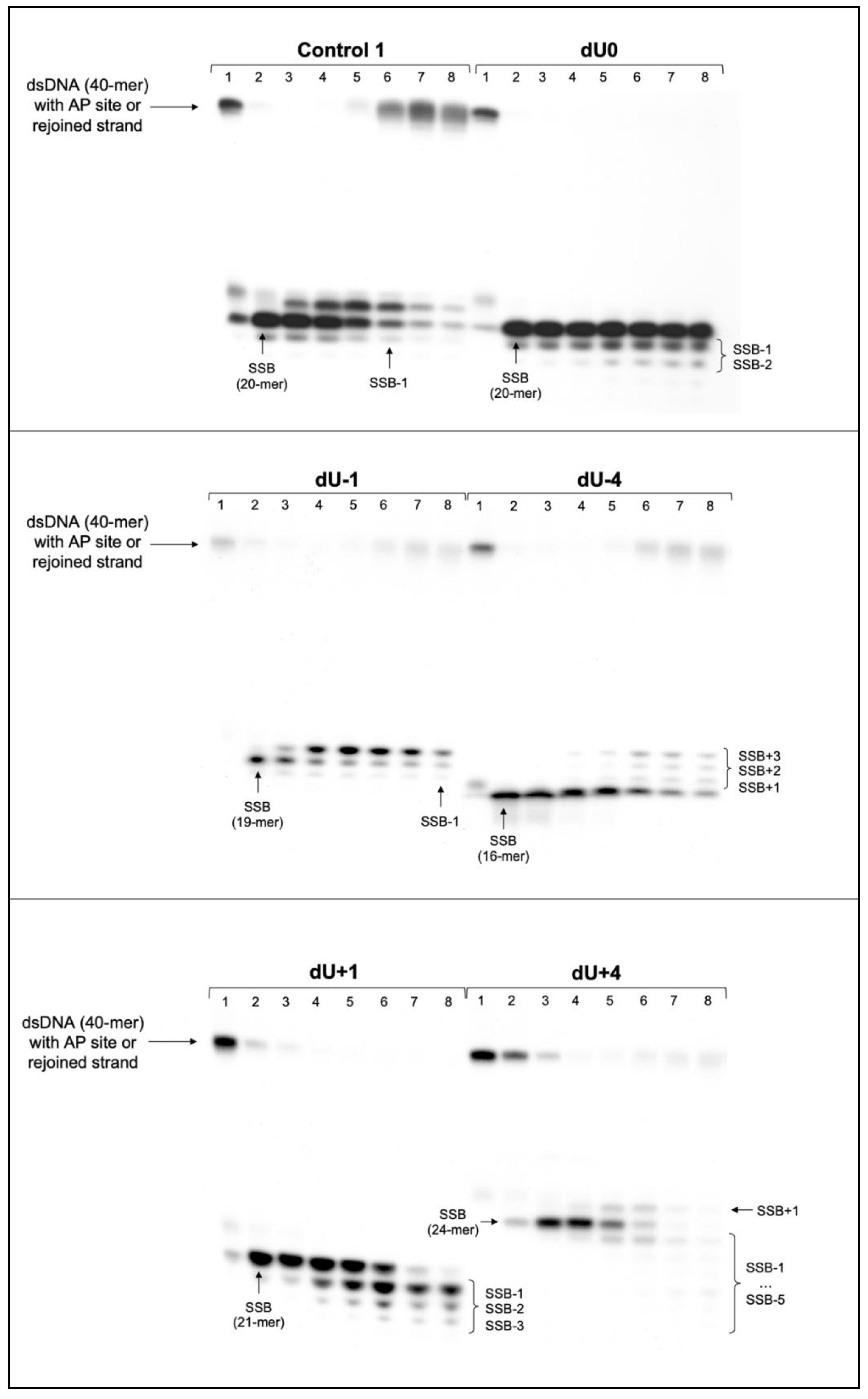 Chemosensors 10 00204 g003