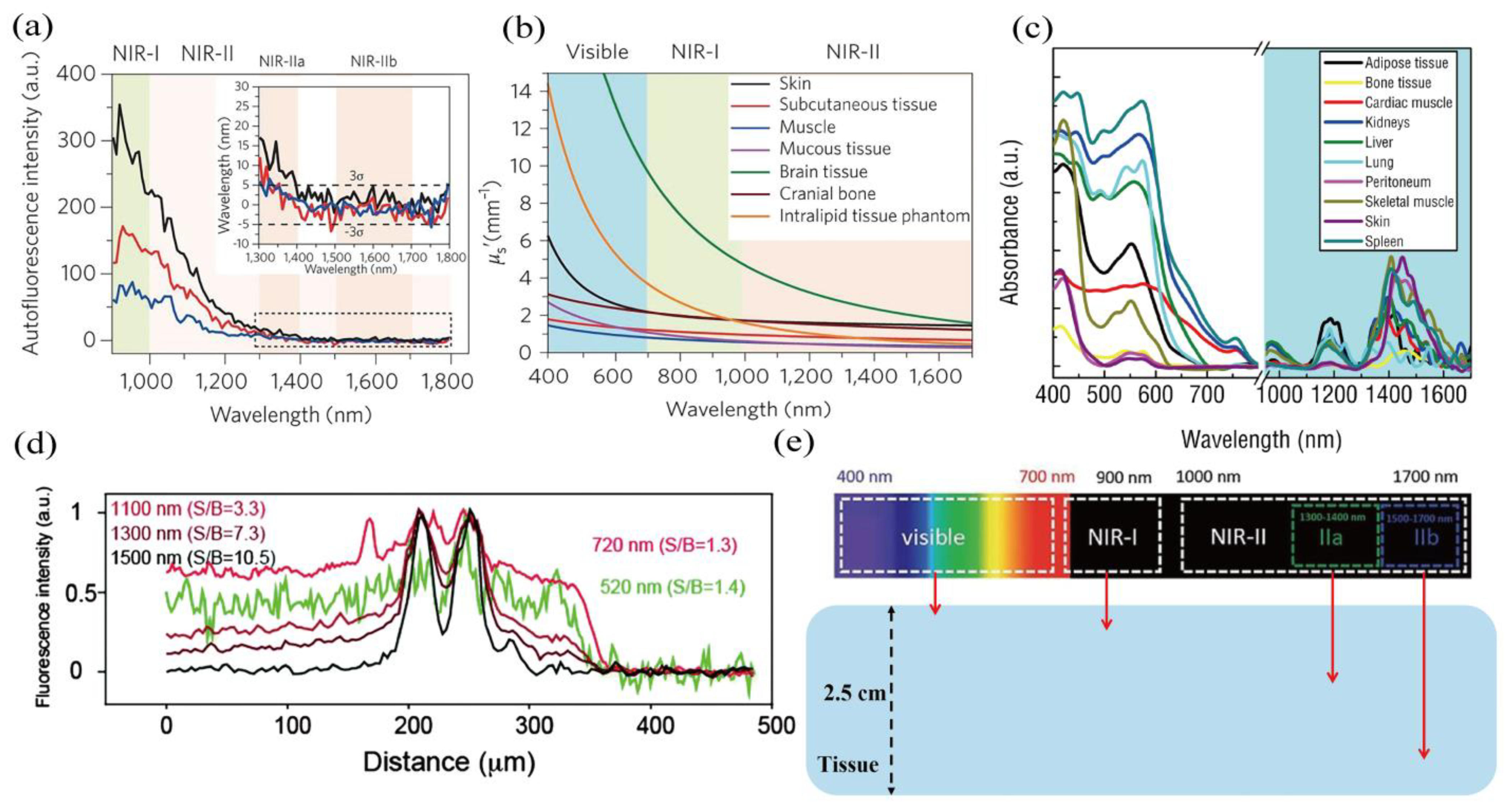 Chemosensors 10 00206 g001