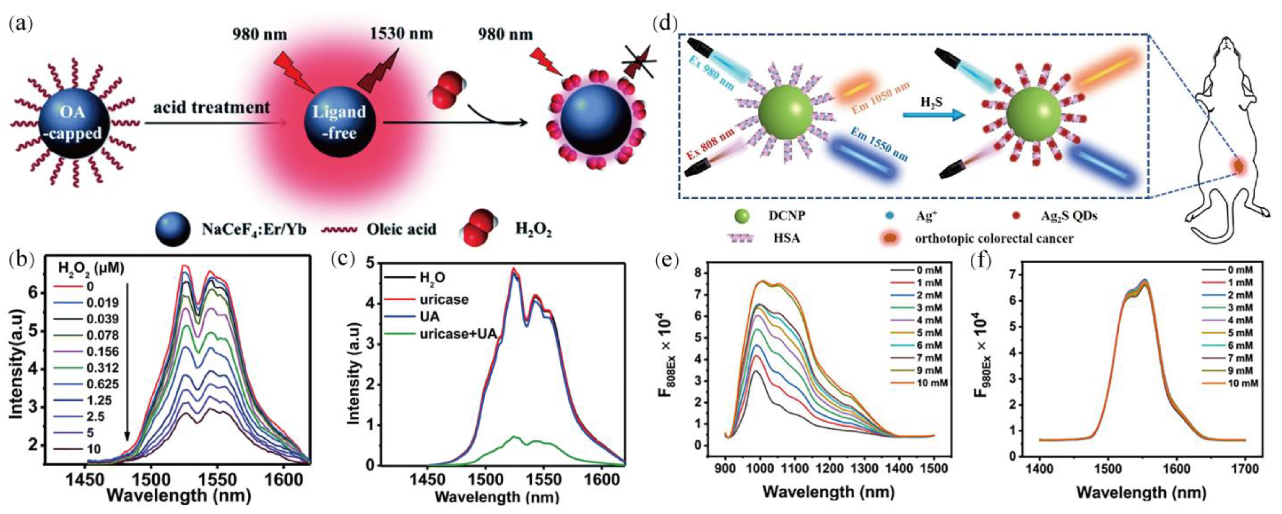 Chemosensors 10 00206 g007