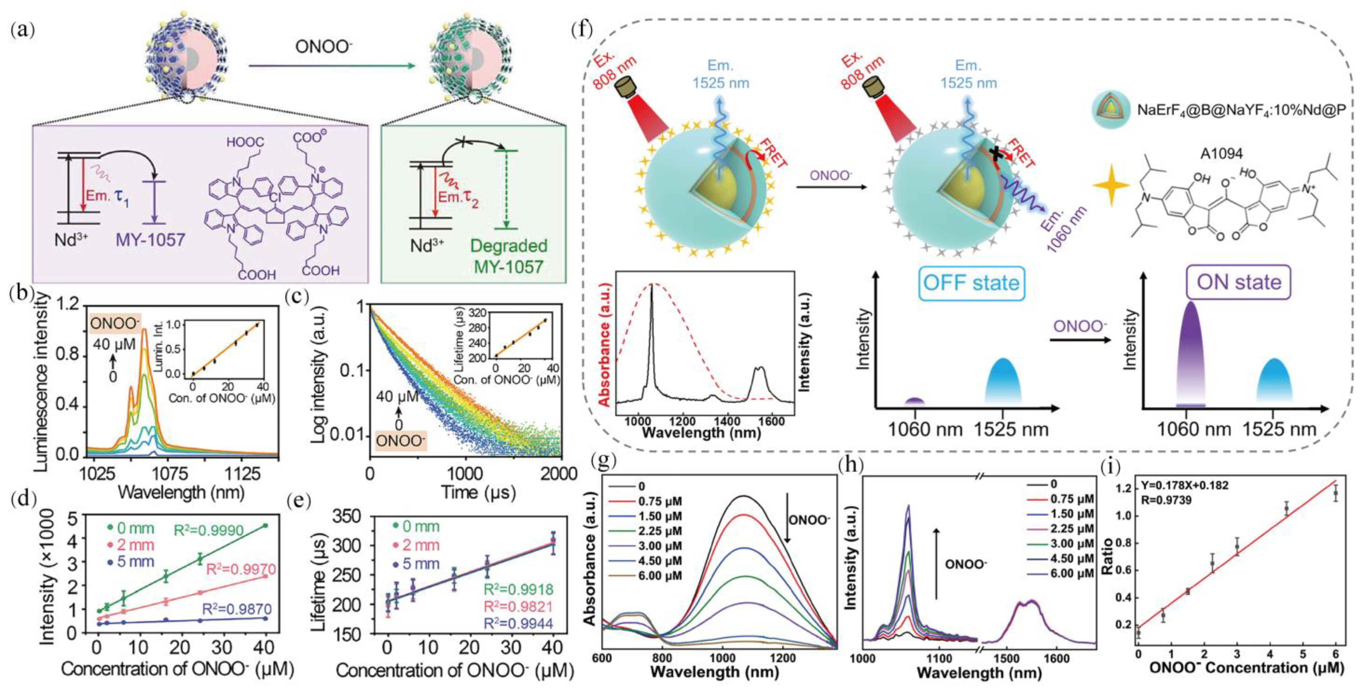 Chemosensors 10 00206 g009
