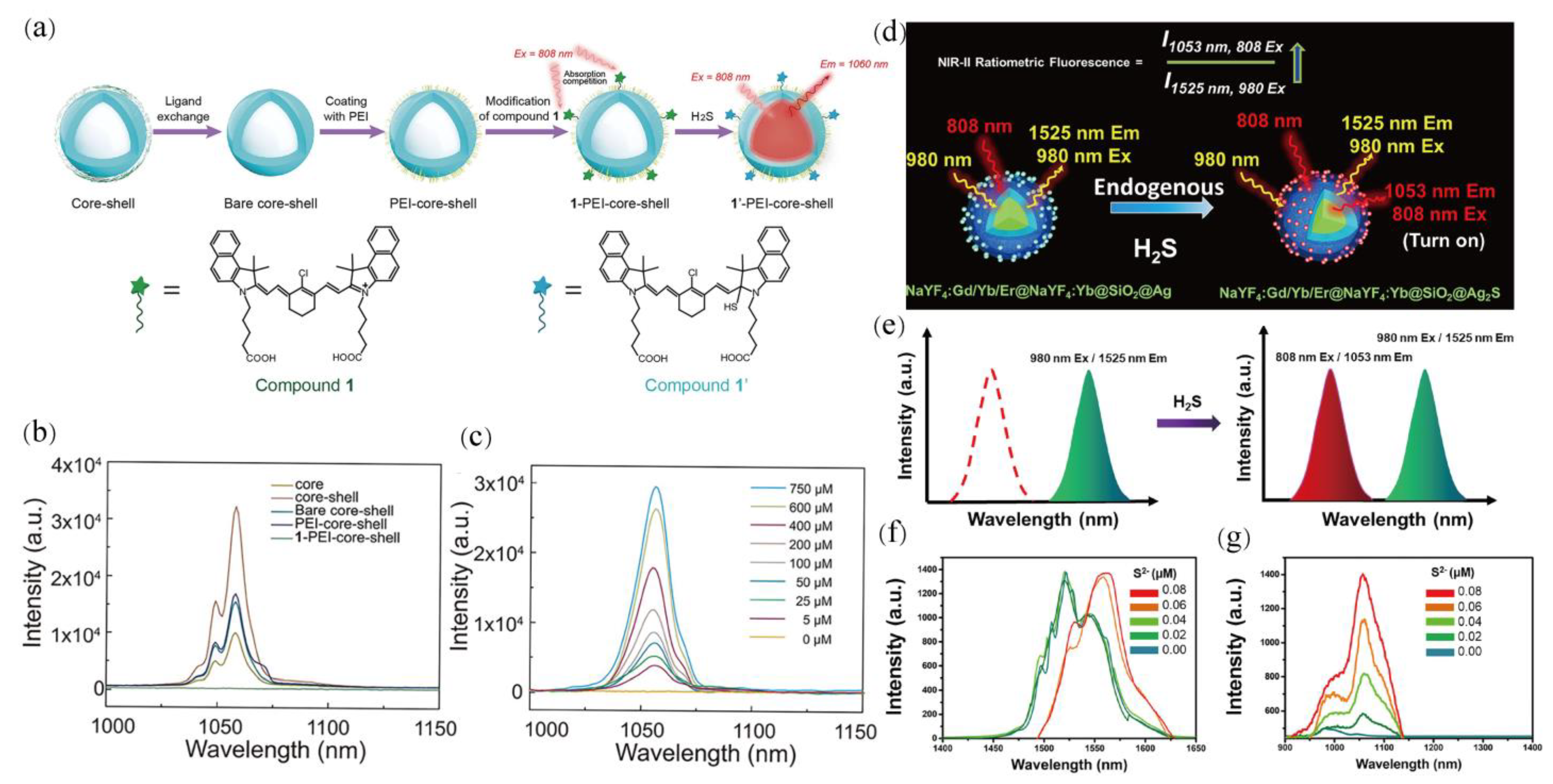 Chemosensors 10 00206 g010
