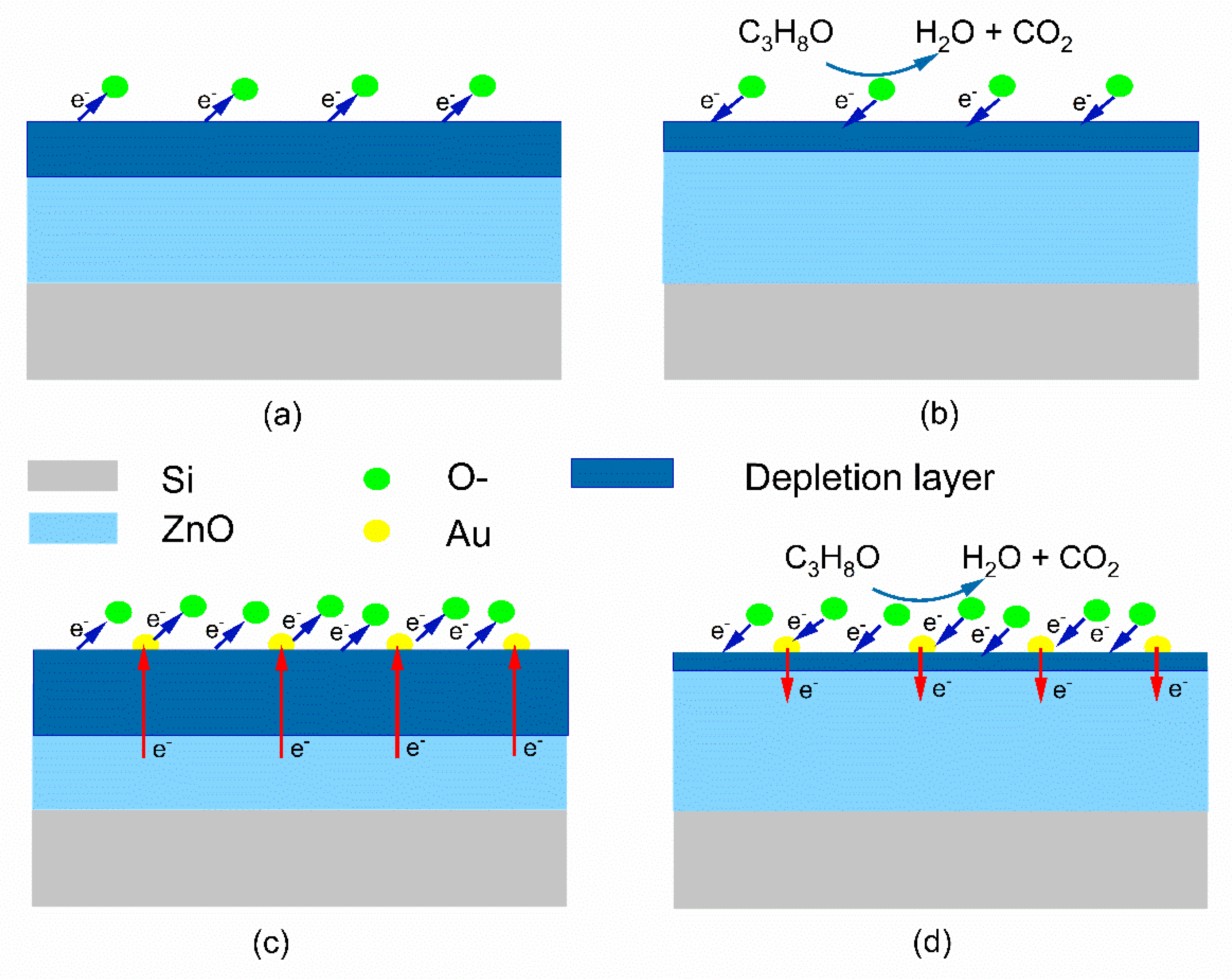 Chemosensors 10 00211 g008