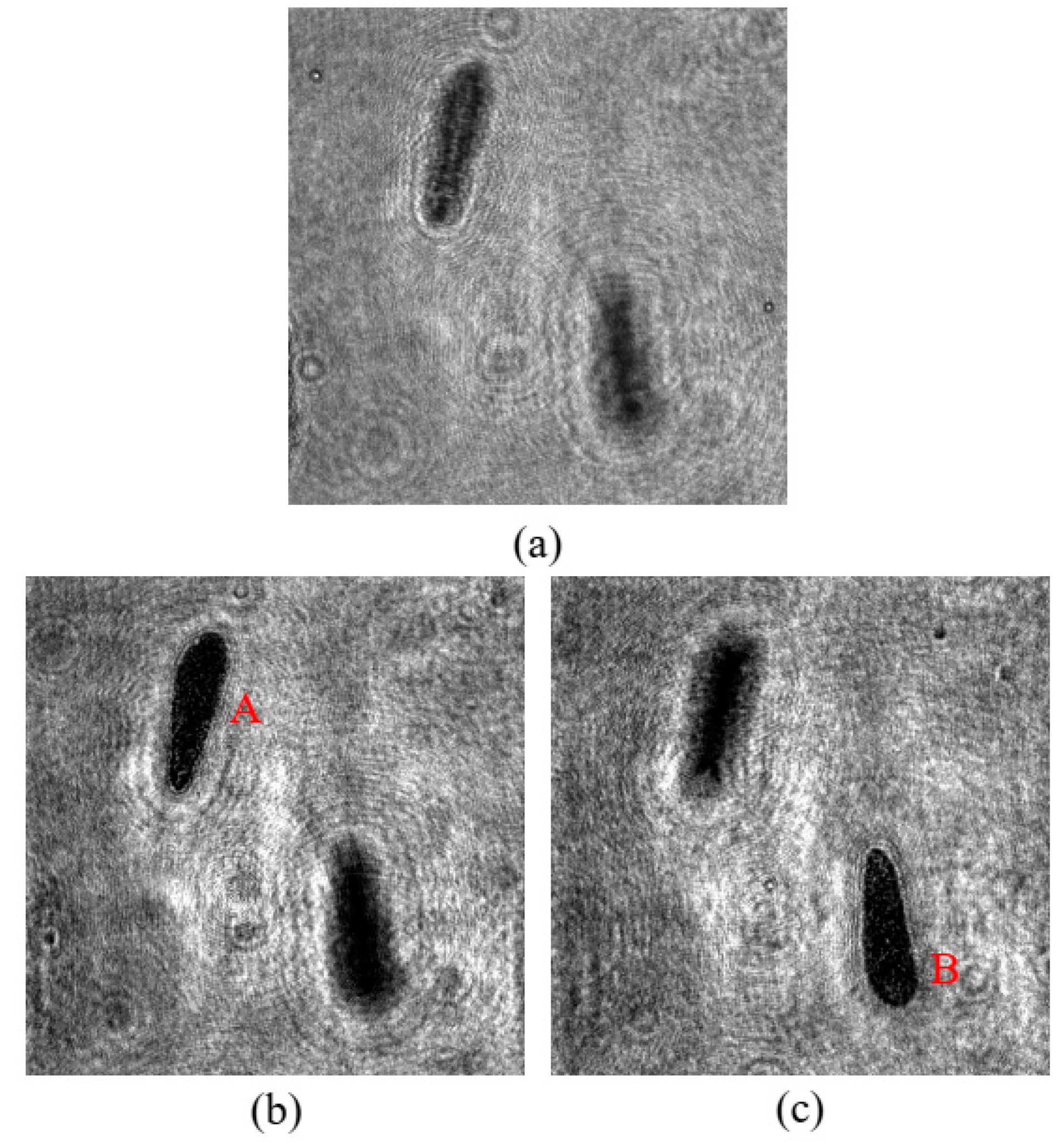 Chemosensors 10 00217 g004