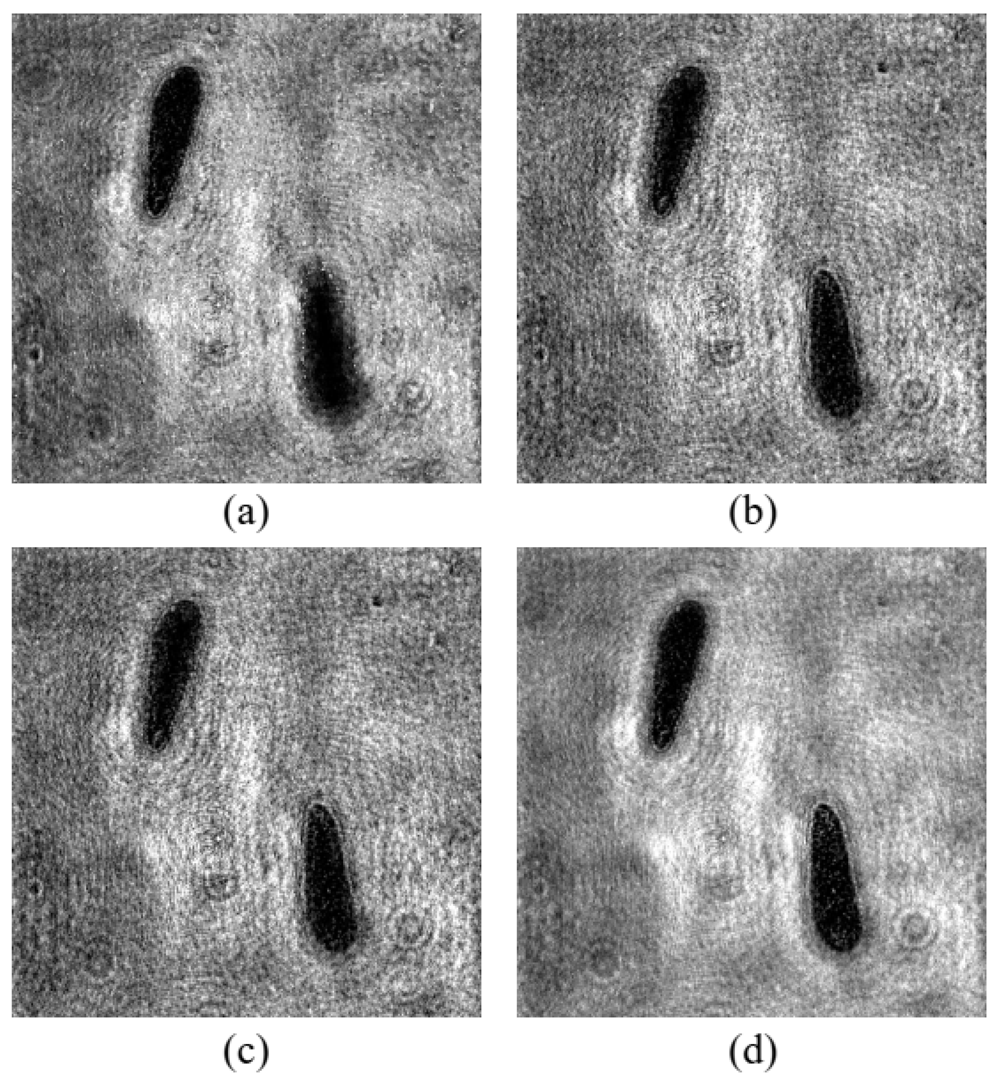 Chemosensors 10 00217 g006