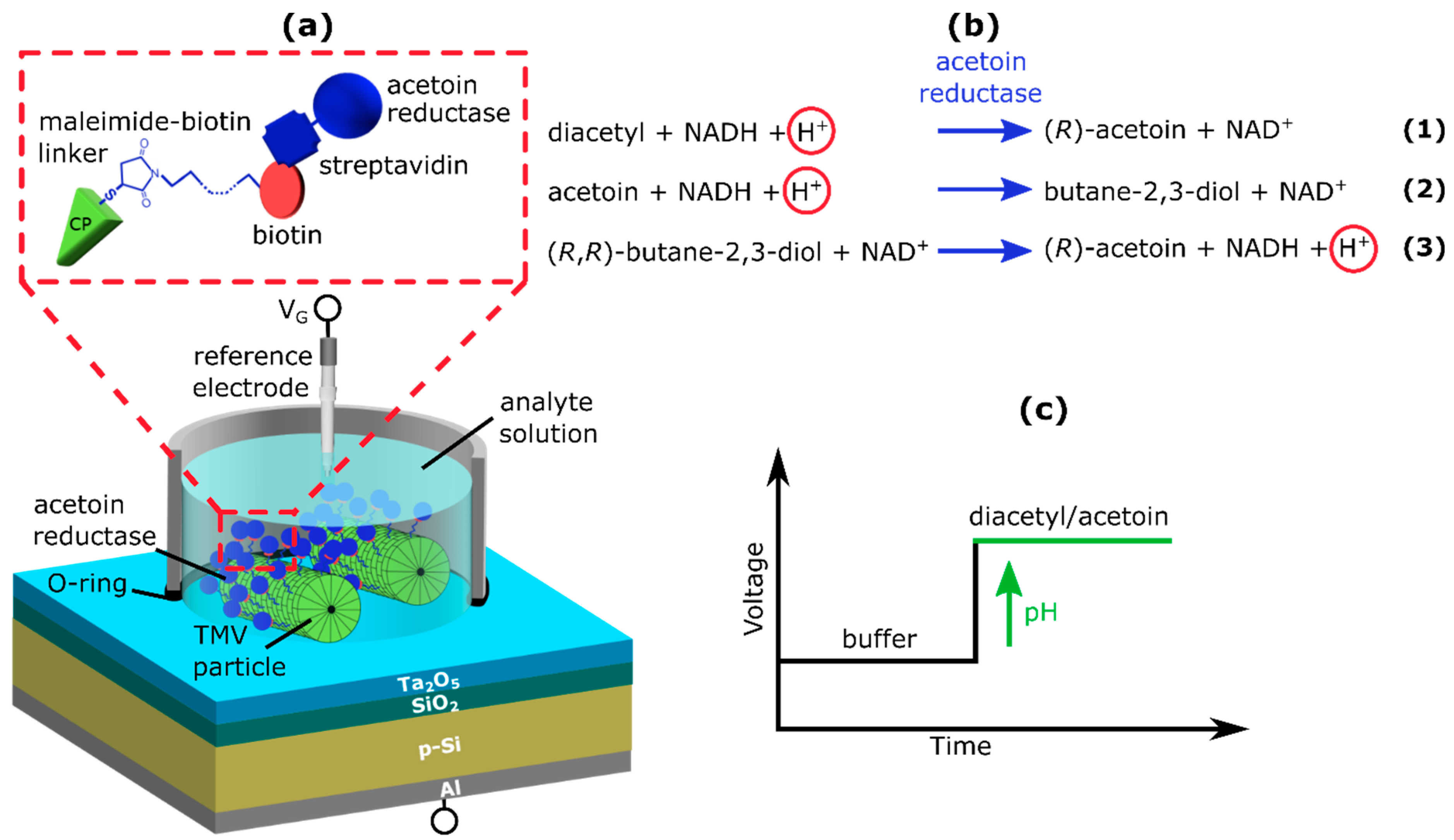 Chemosensors 10 00218 g001