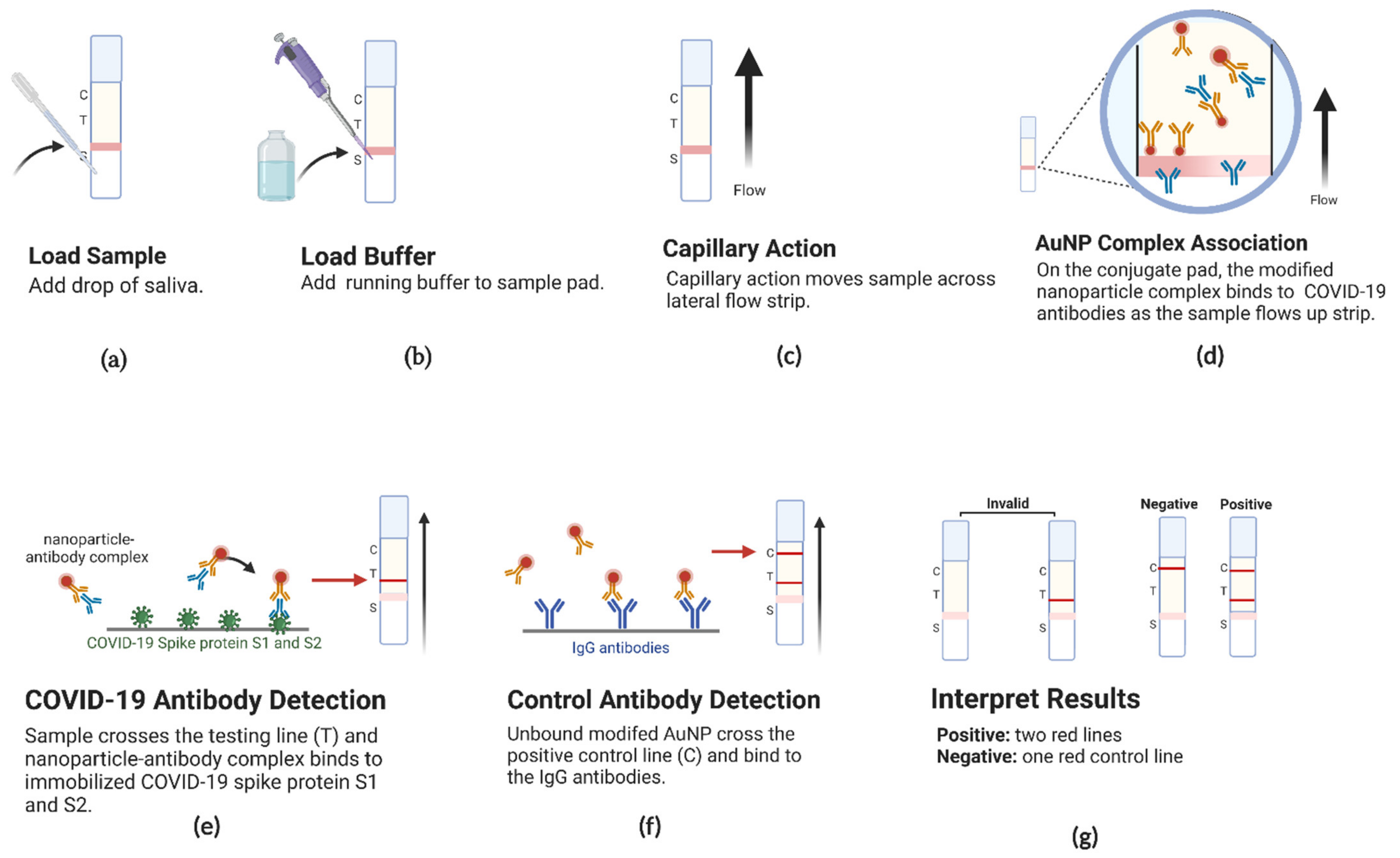 Chemosensors 10 00234 g005