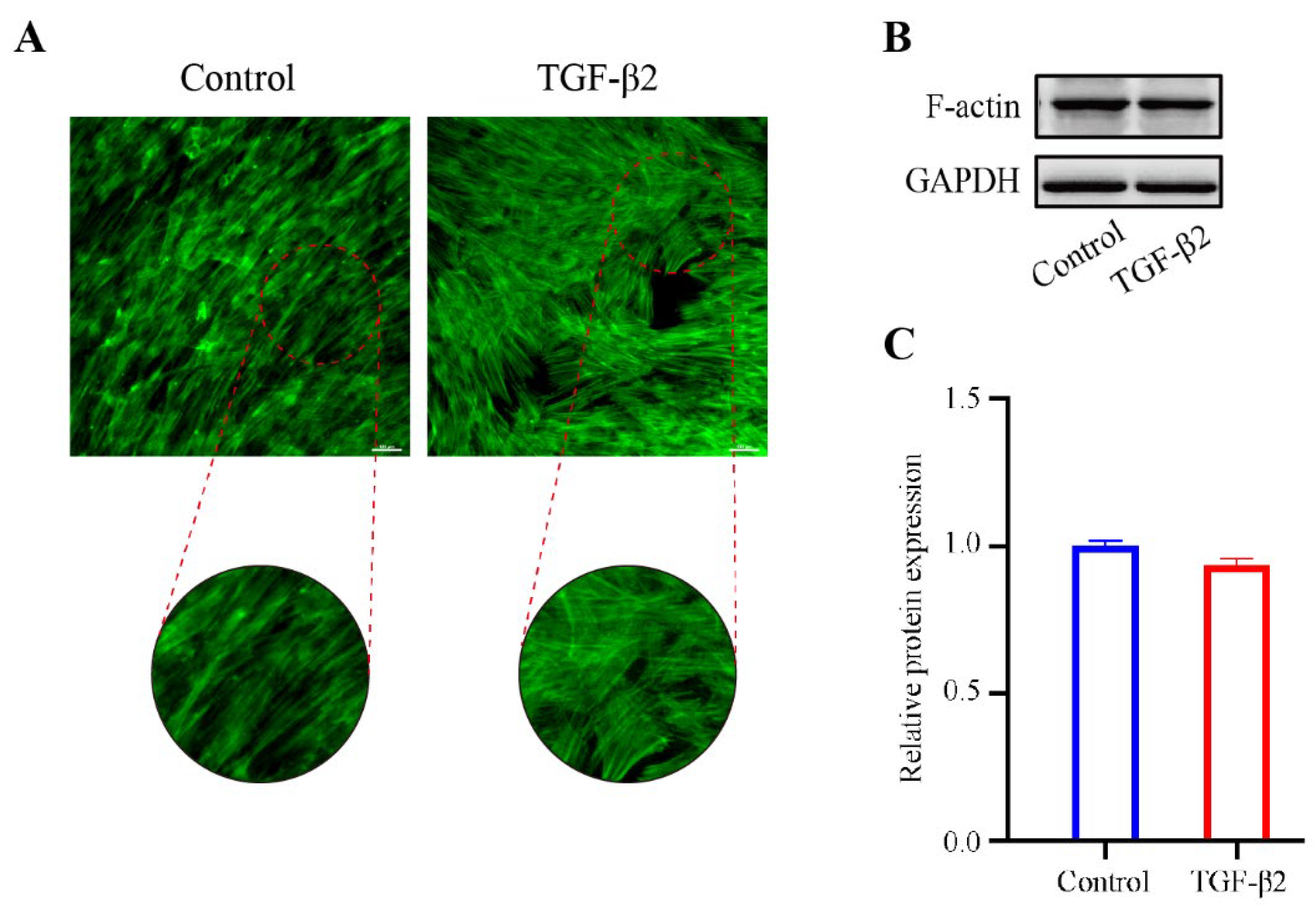 Chemosensors 10 00235 g002