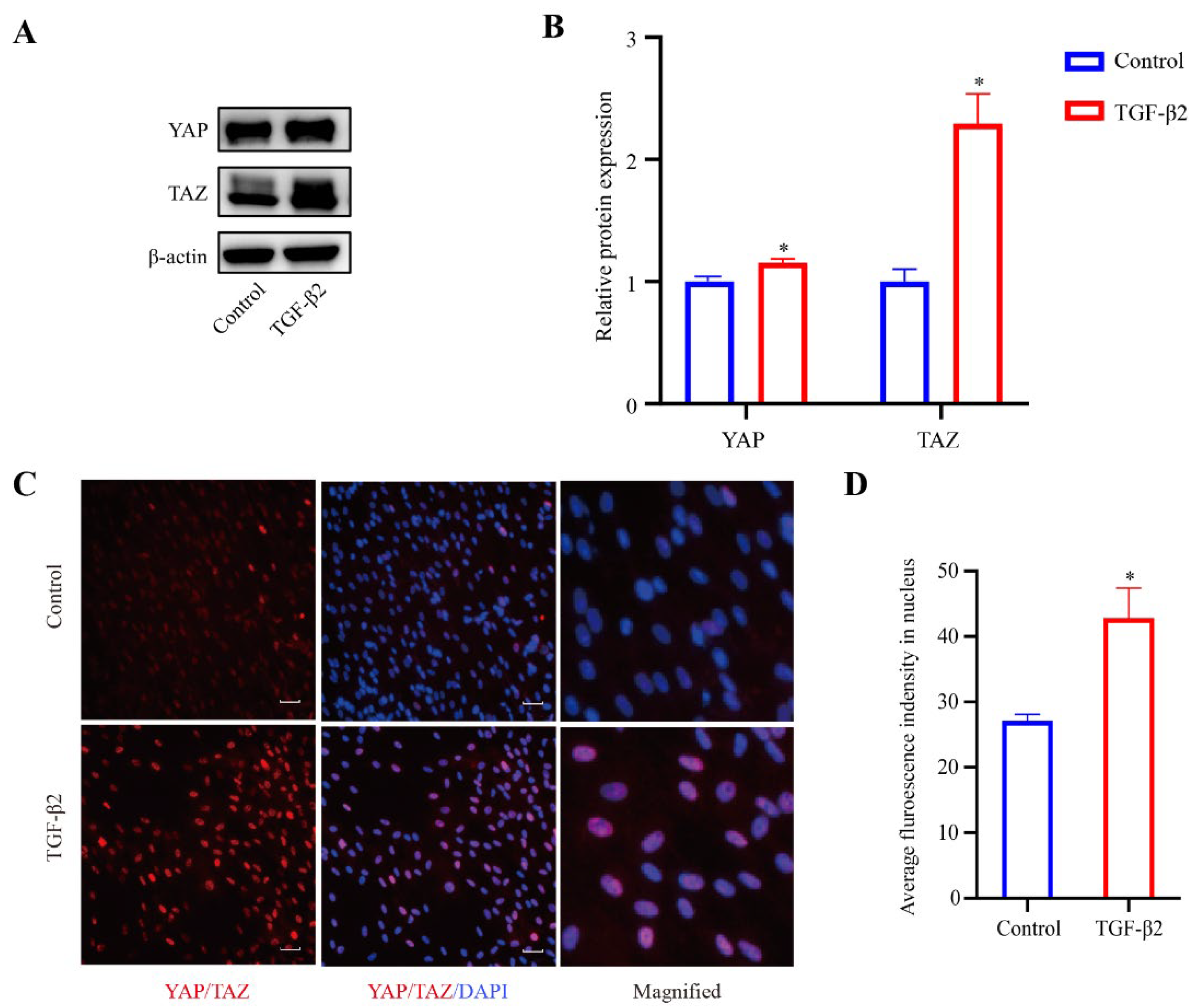 Chemosensors 10 00235 g004