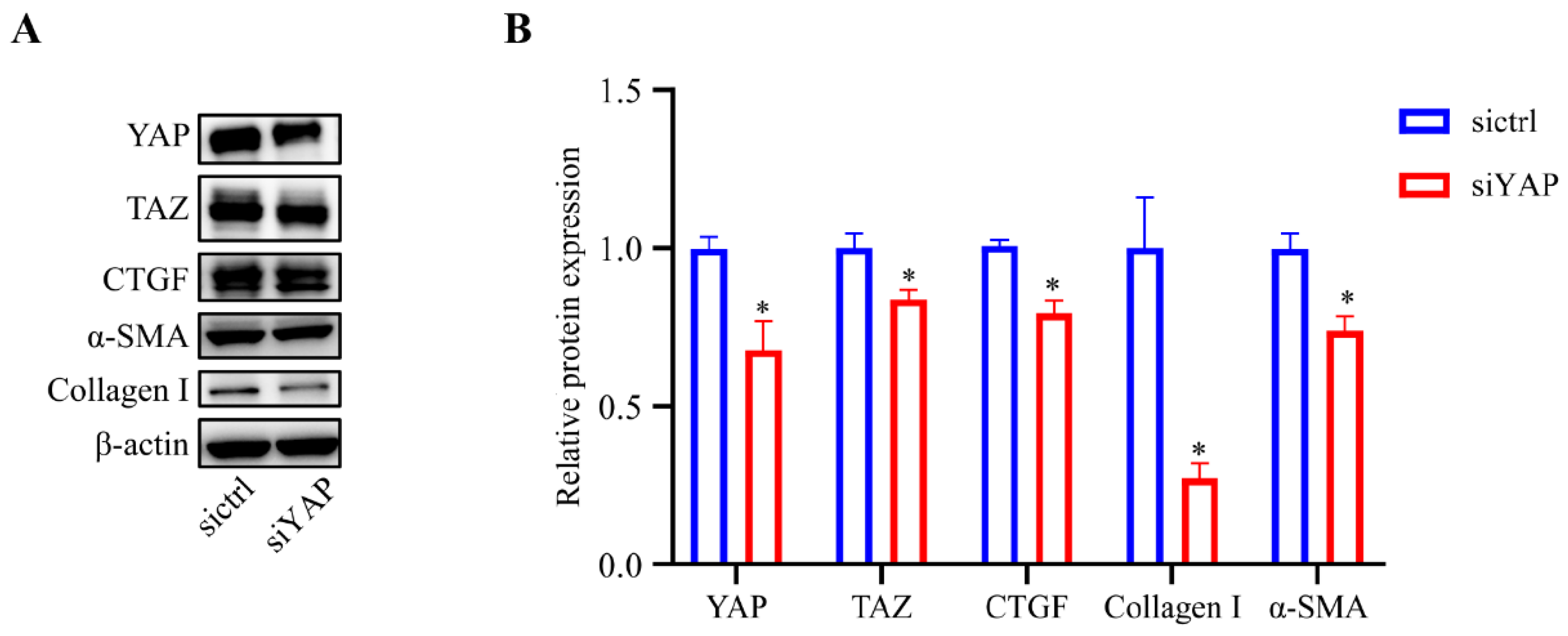 Chemosensors 10 00235 g005
