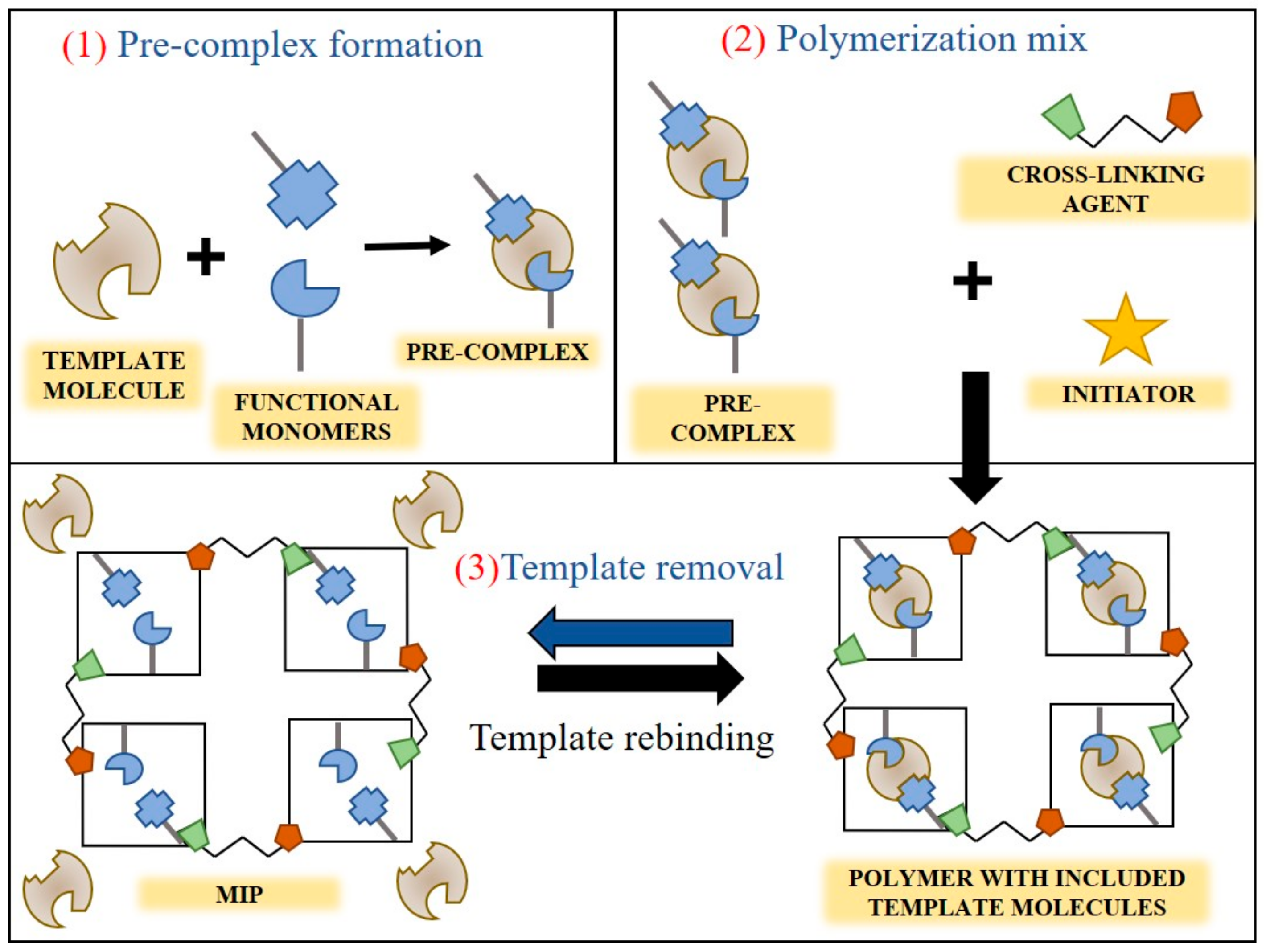 Chemosensors 10 00243 g002
