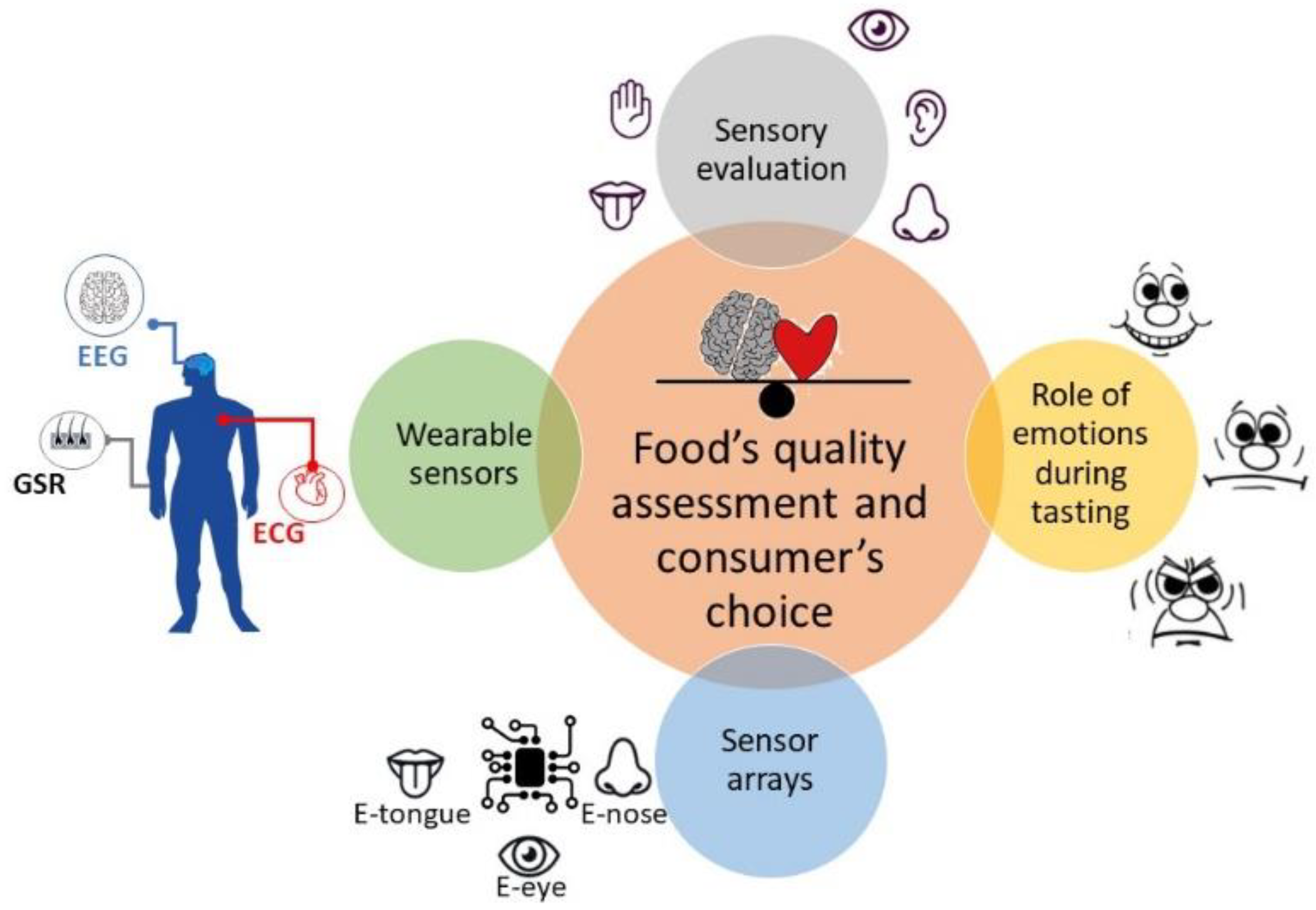 Chemosensors 10 00244 g001 Chemosensors 10 00244 g001