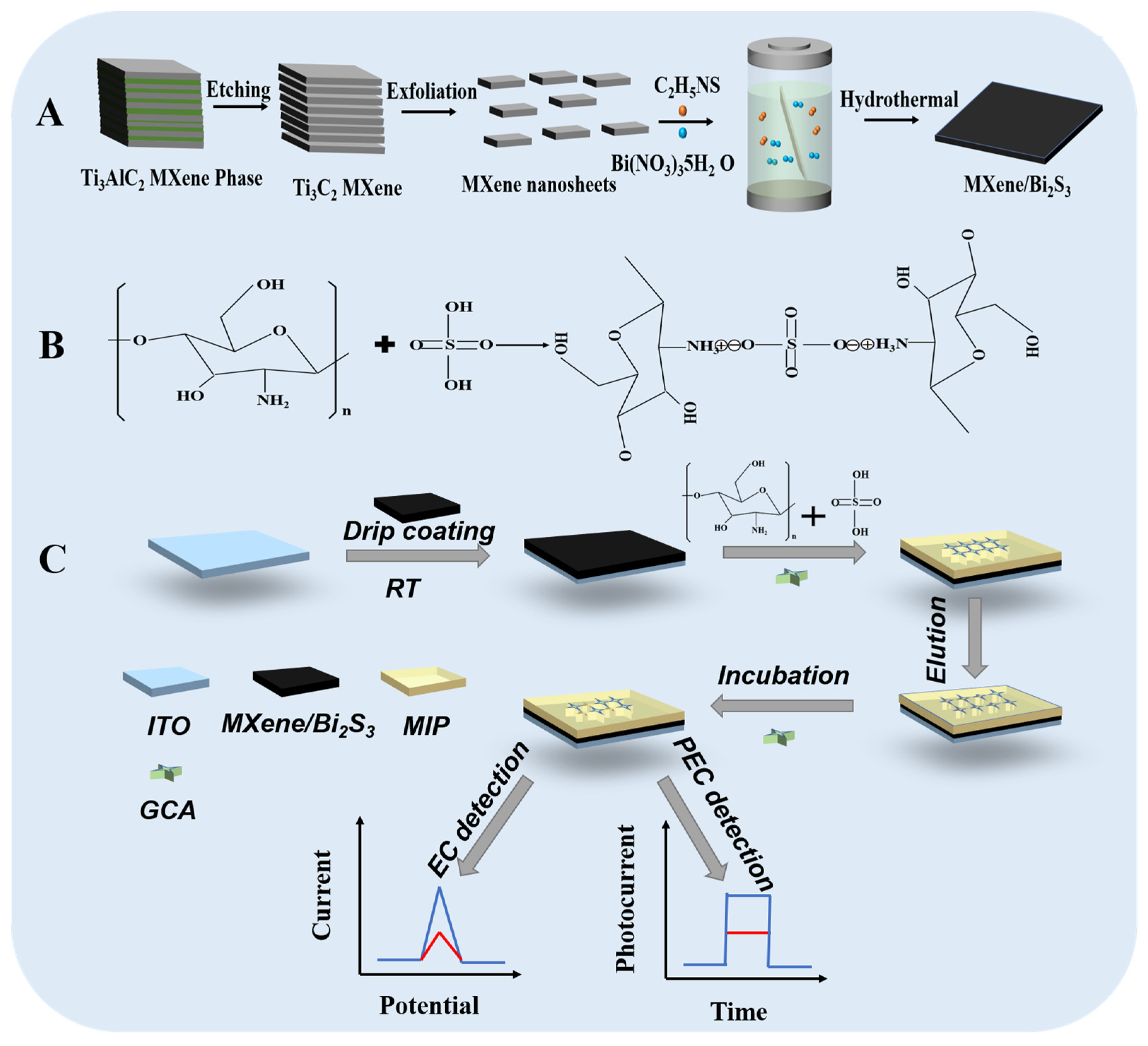 Chemosensors 10 00252 sch001