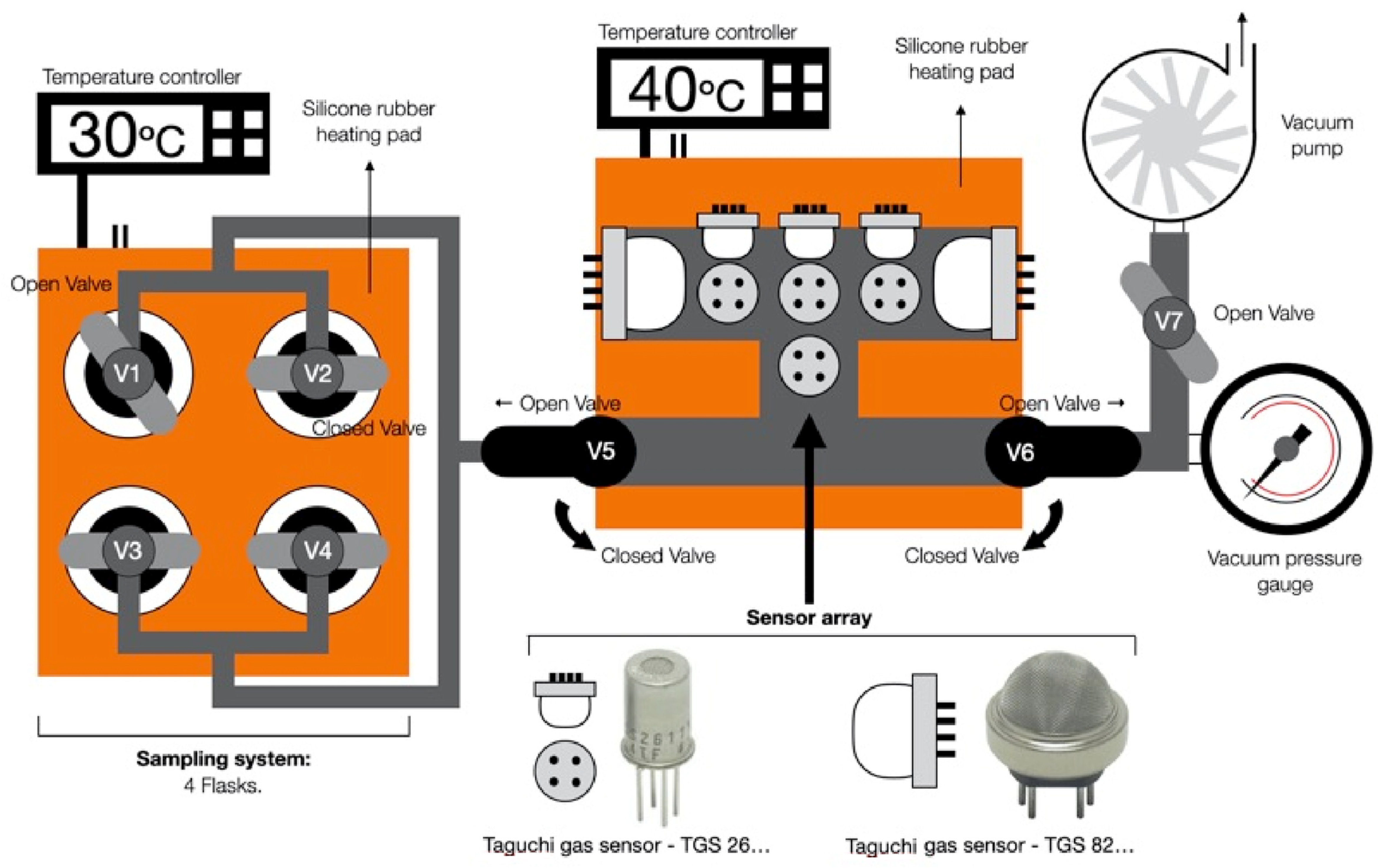 Chemosensors 10 00261 g001