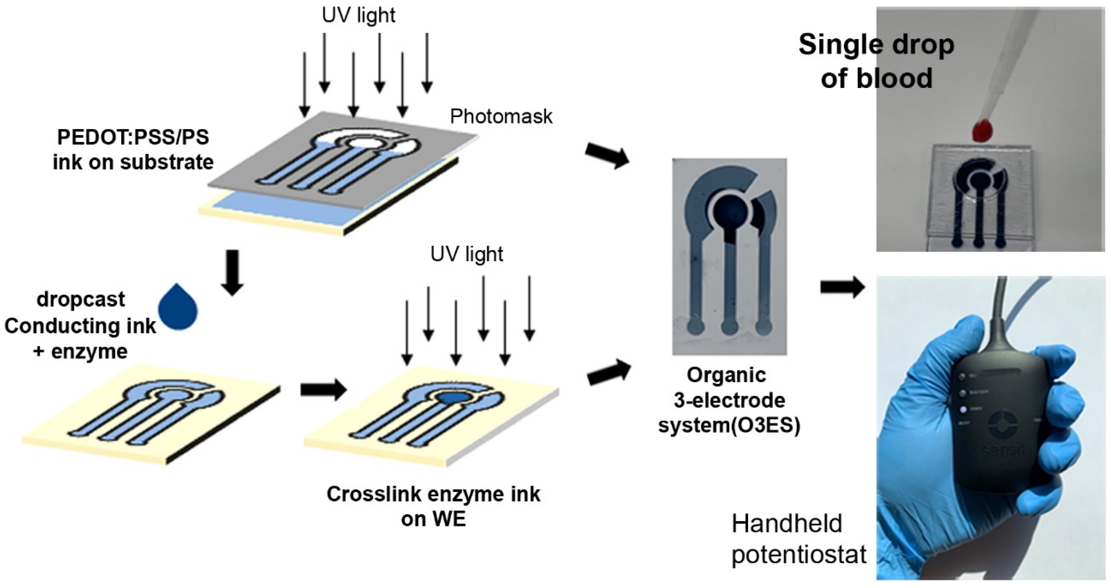 Chemosensors 10 00263 g001