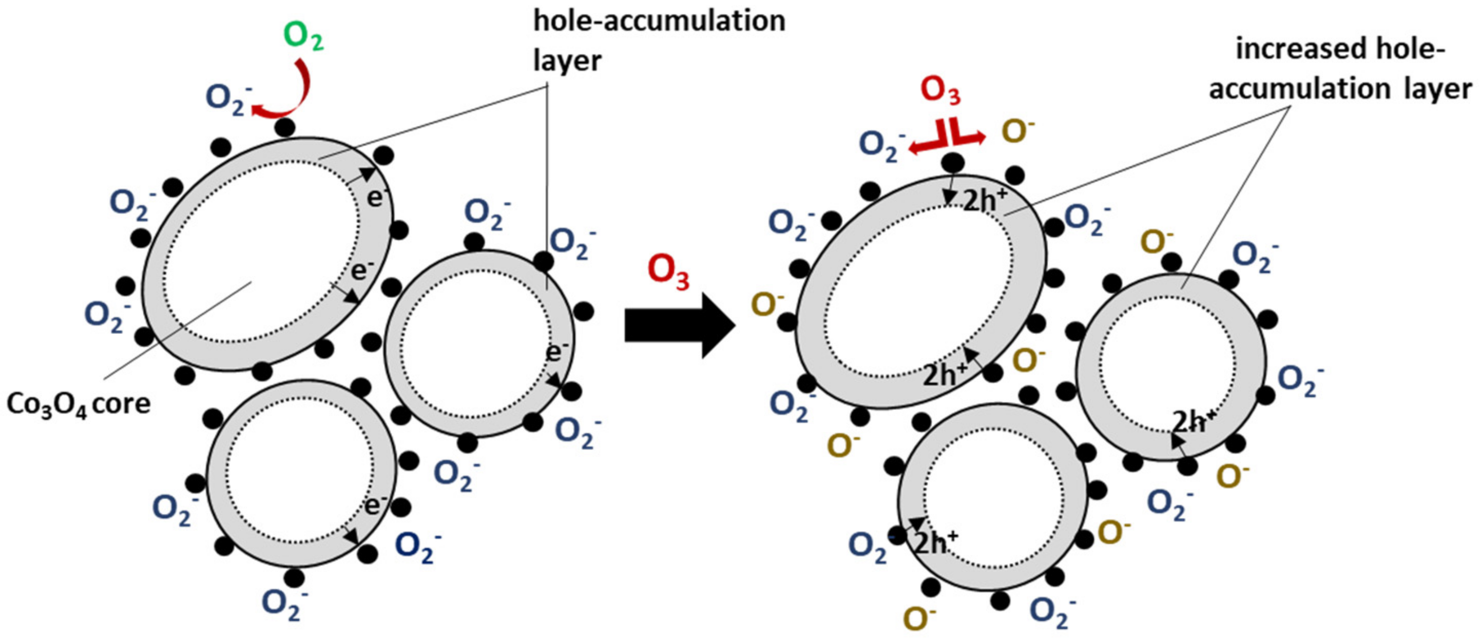 Chemosensors 10 00266 g009