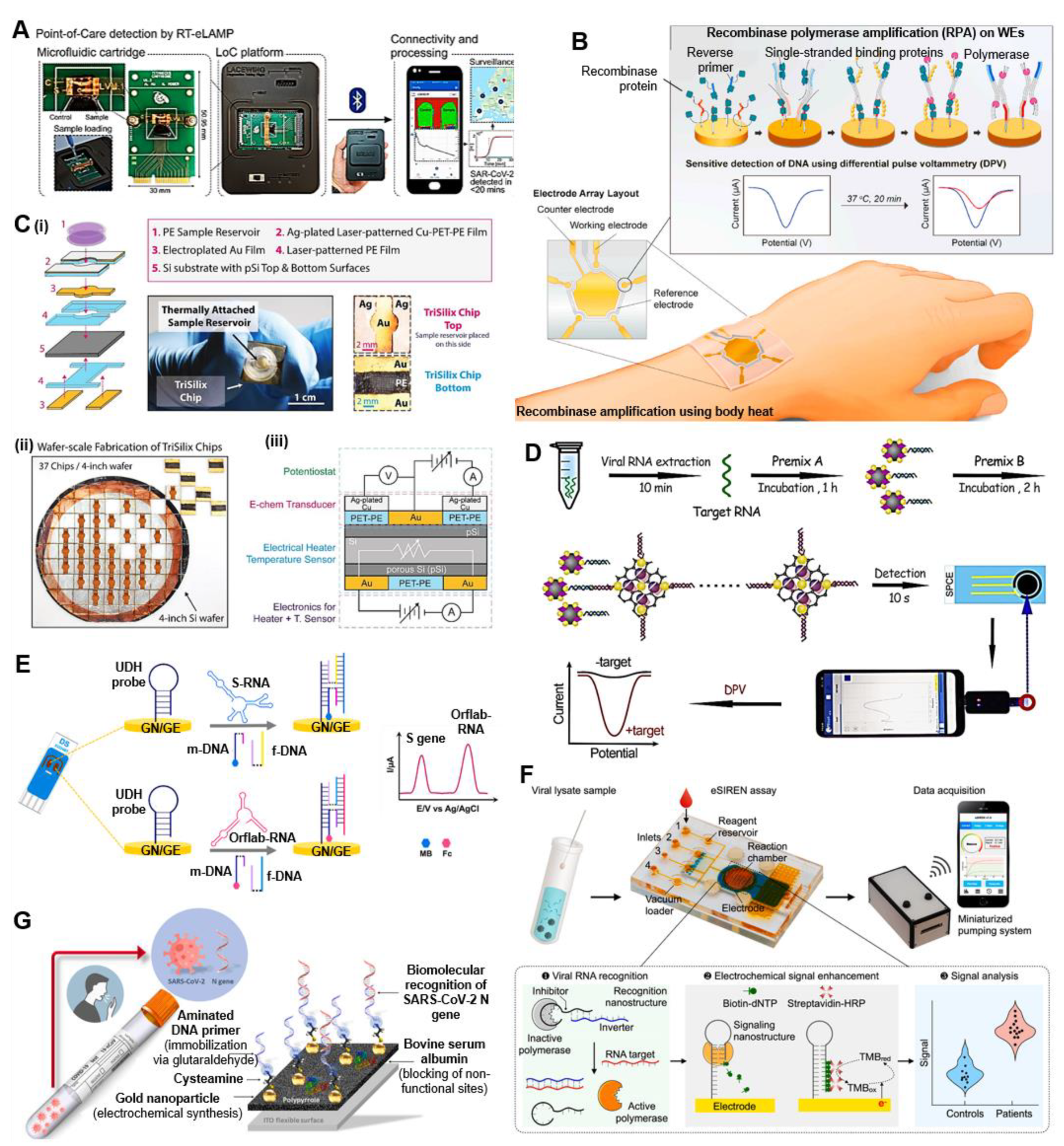 Chemosensors 10 00269 g002