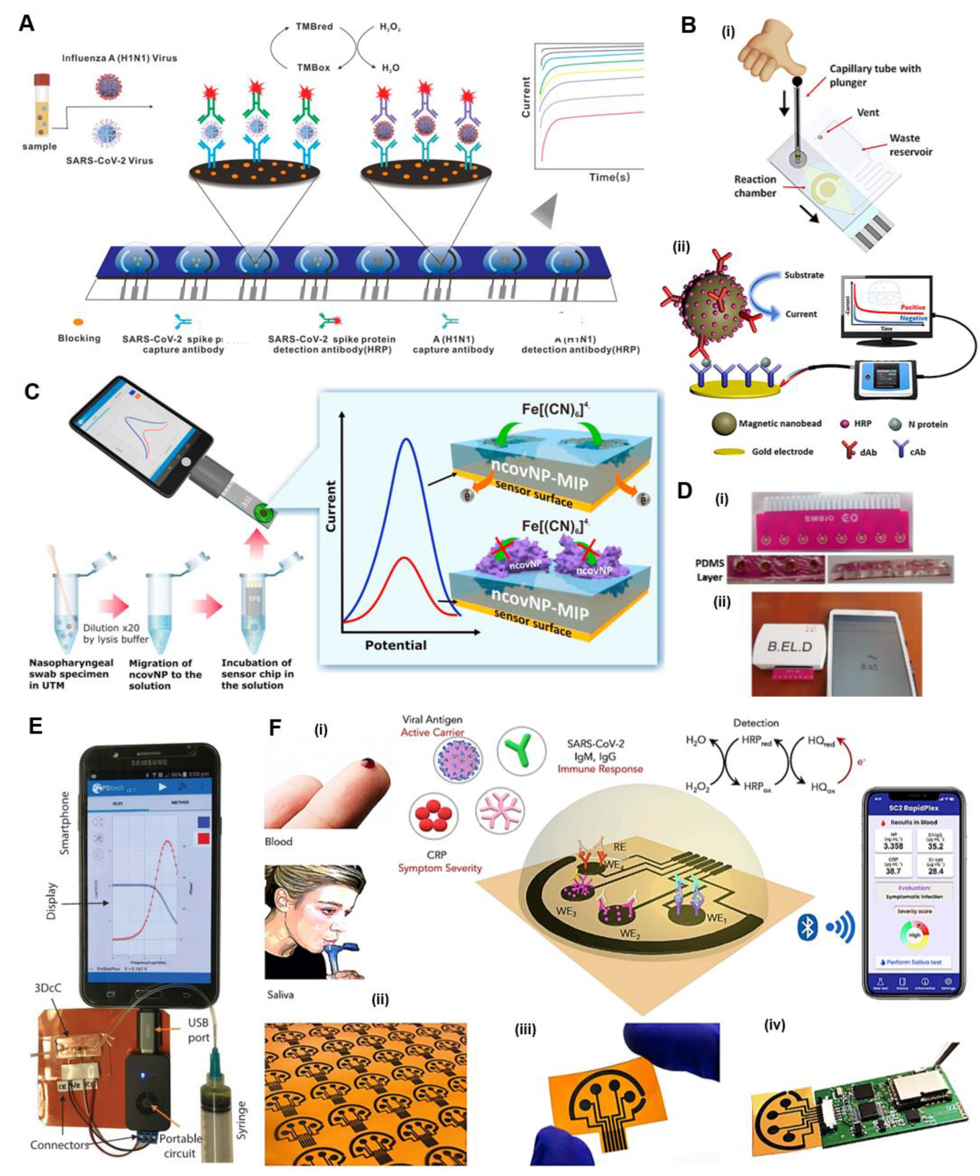 Chemosensors 10 00269 g004