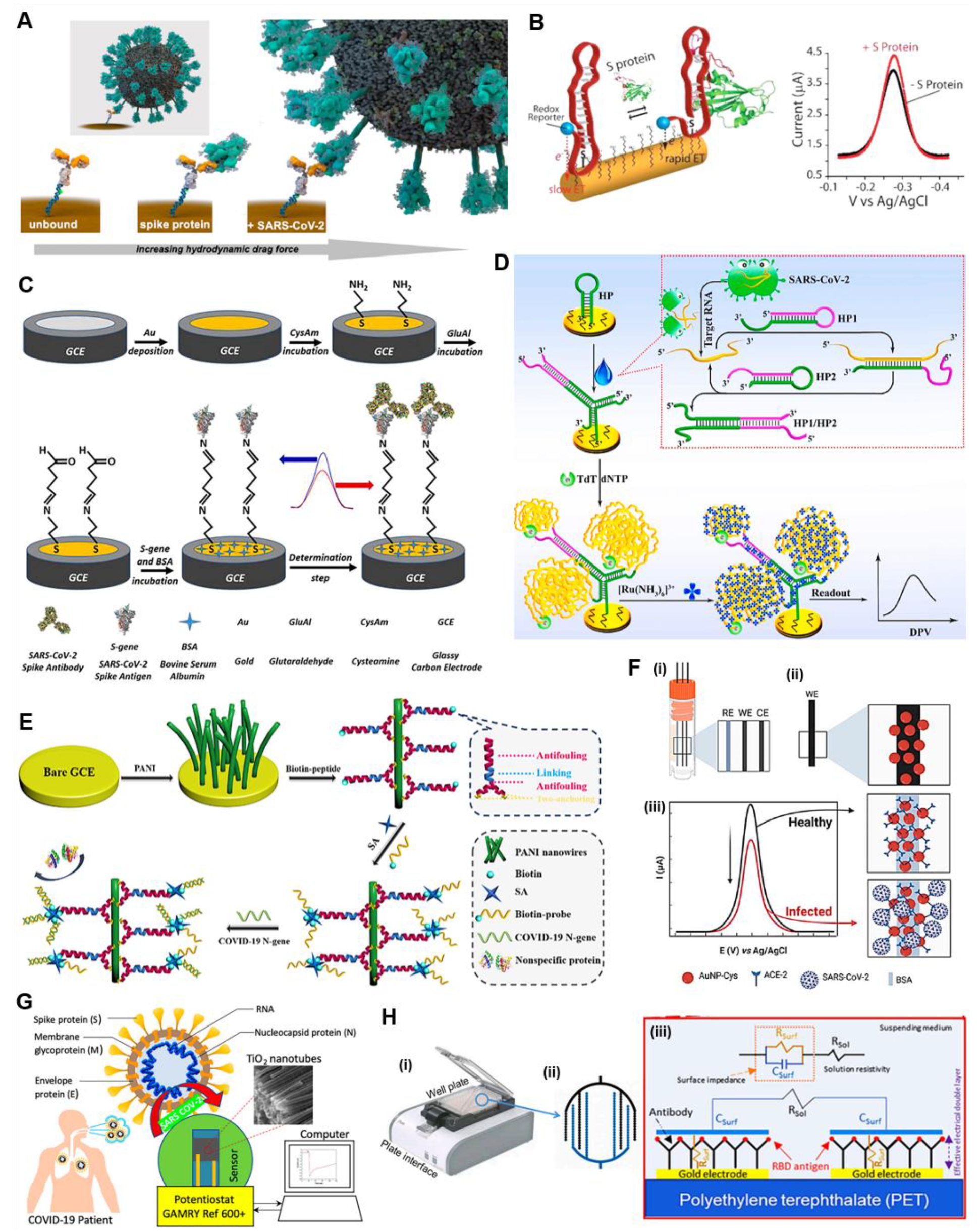 Chemosensors 10 00269 g006