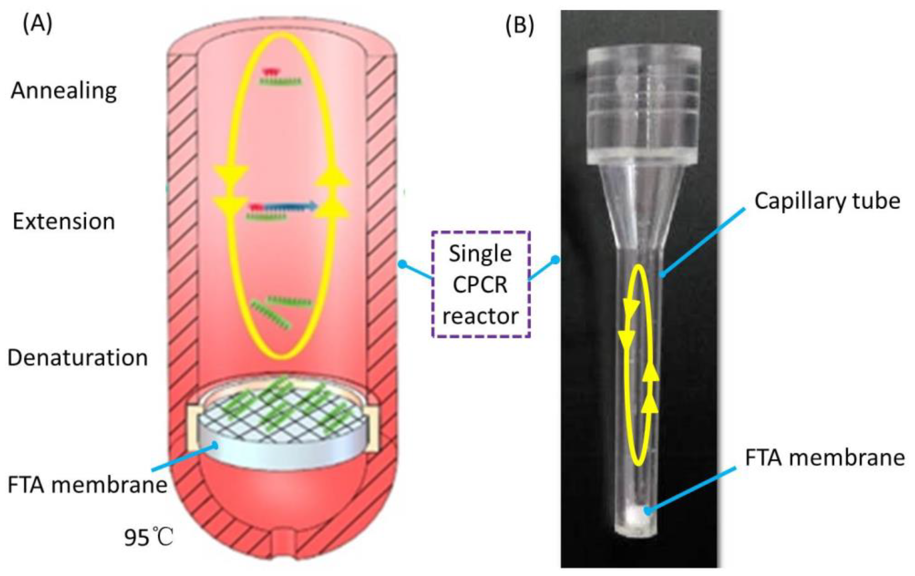 Chemosensors 10 00271 g001