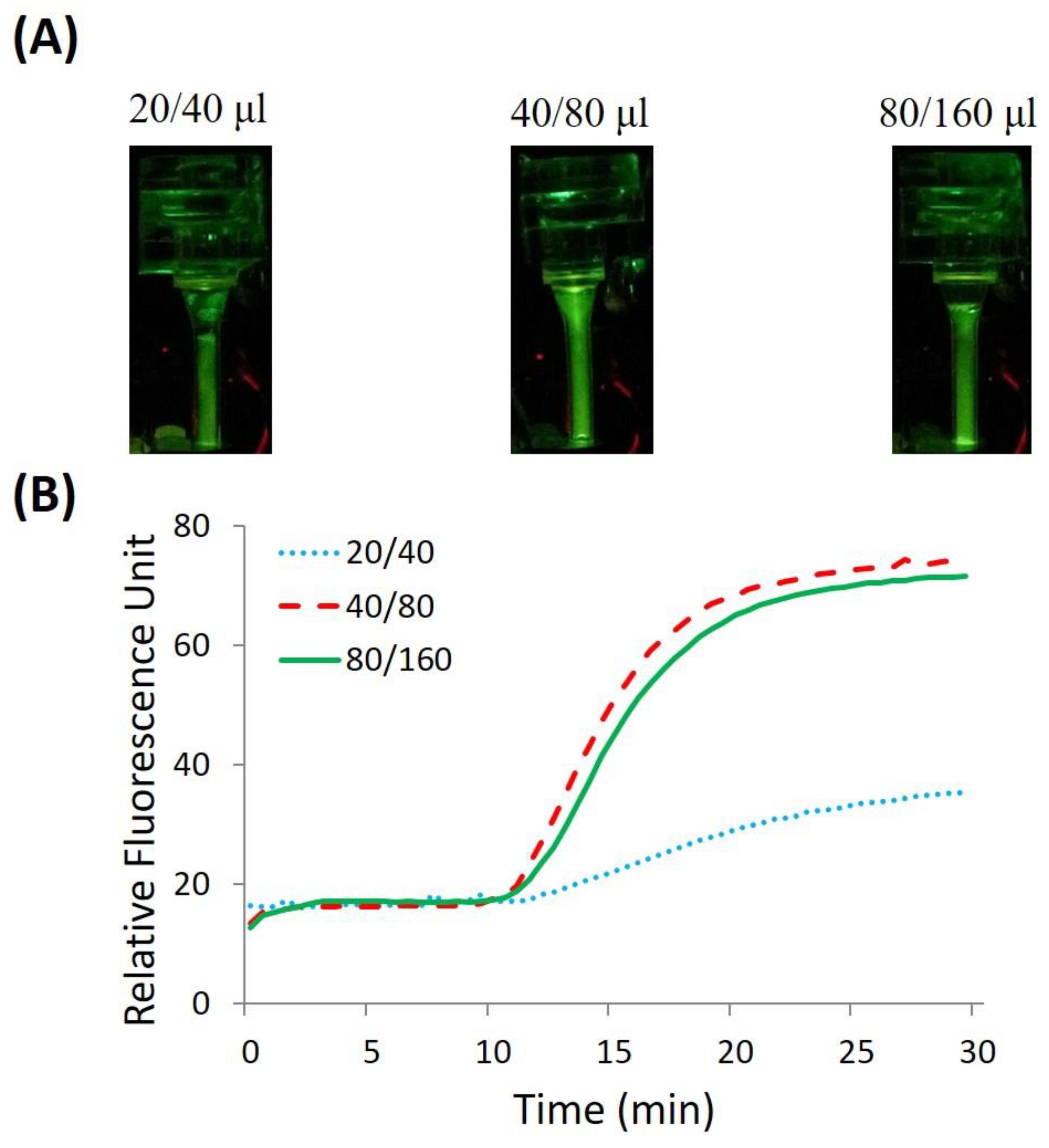 Chemosensors 10 00271 g006