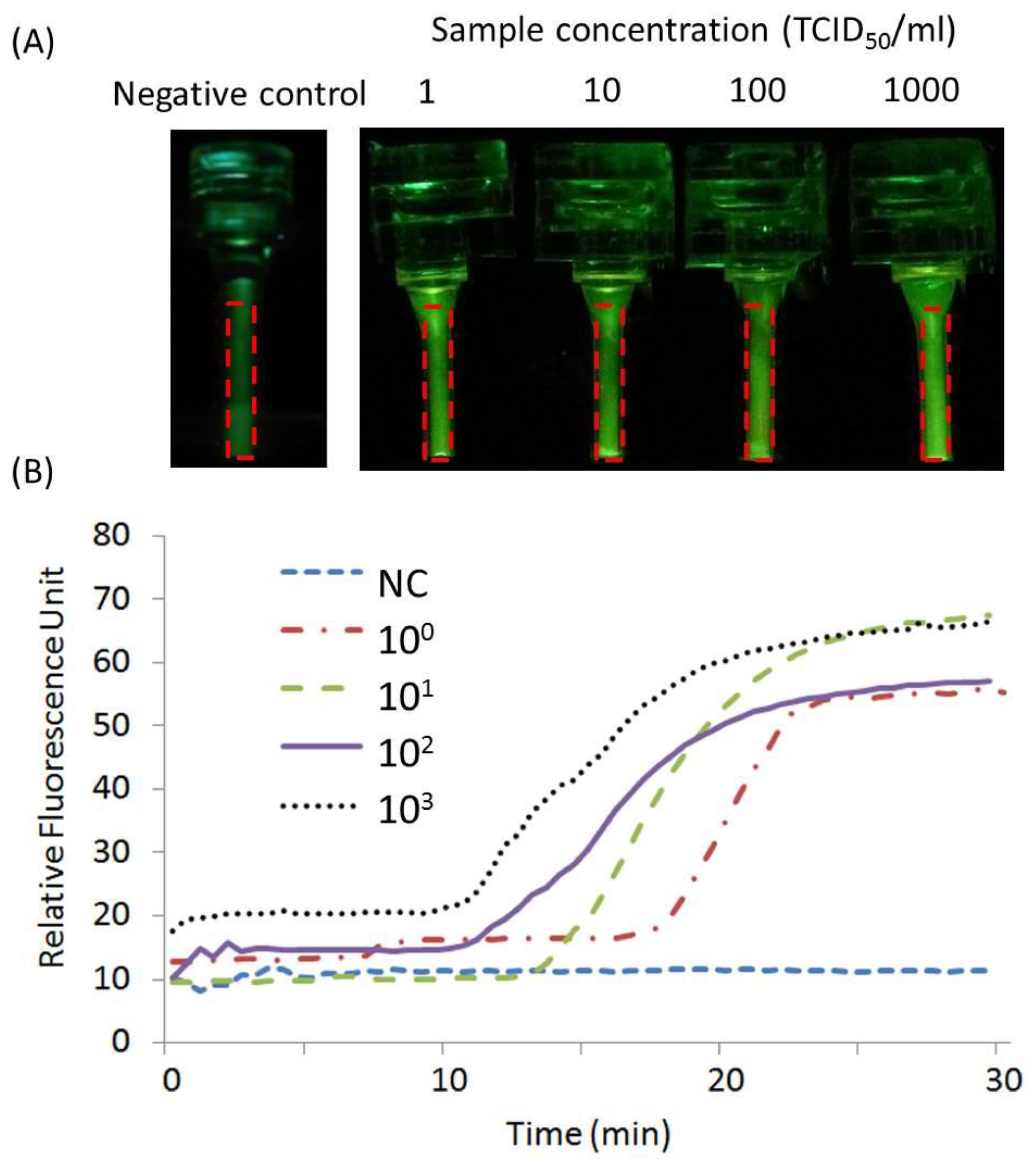 Chemosensors 10 00271 g008