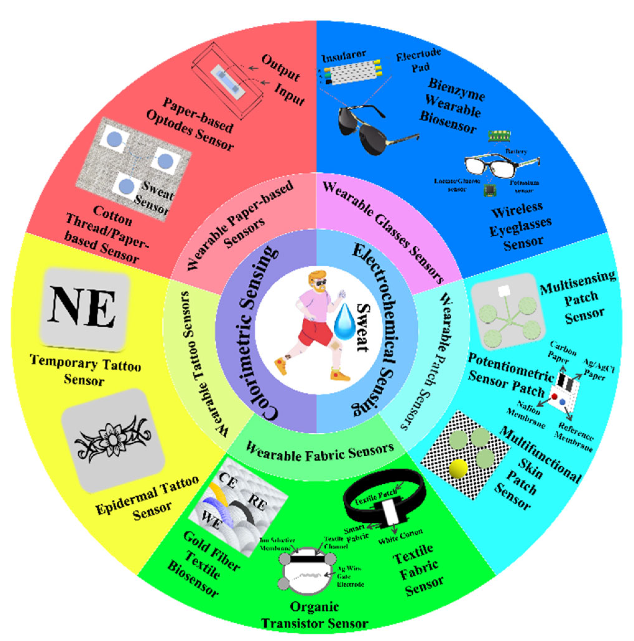 Chemosensors 10 00273 g002