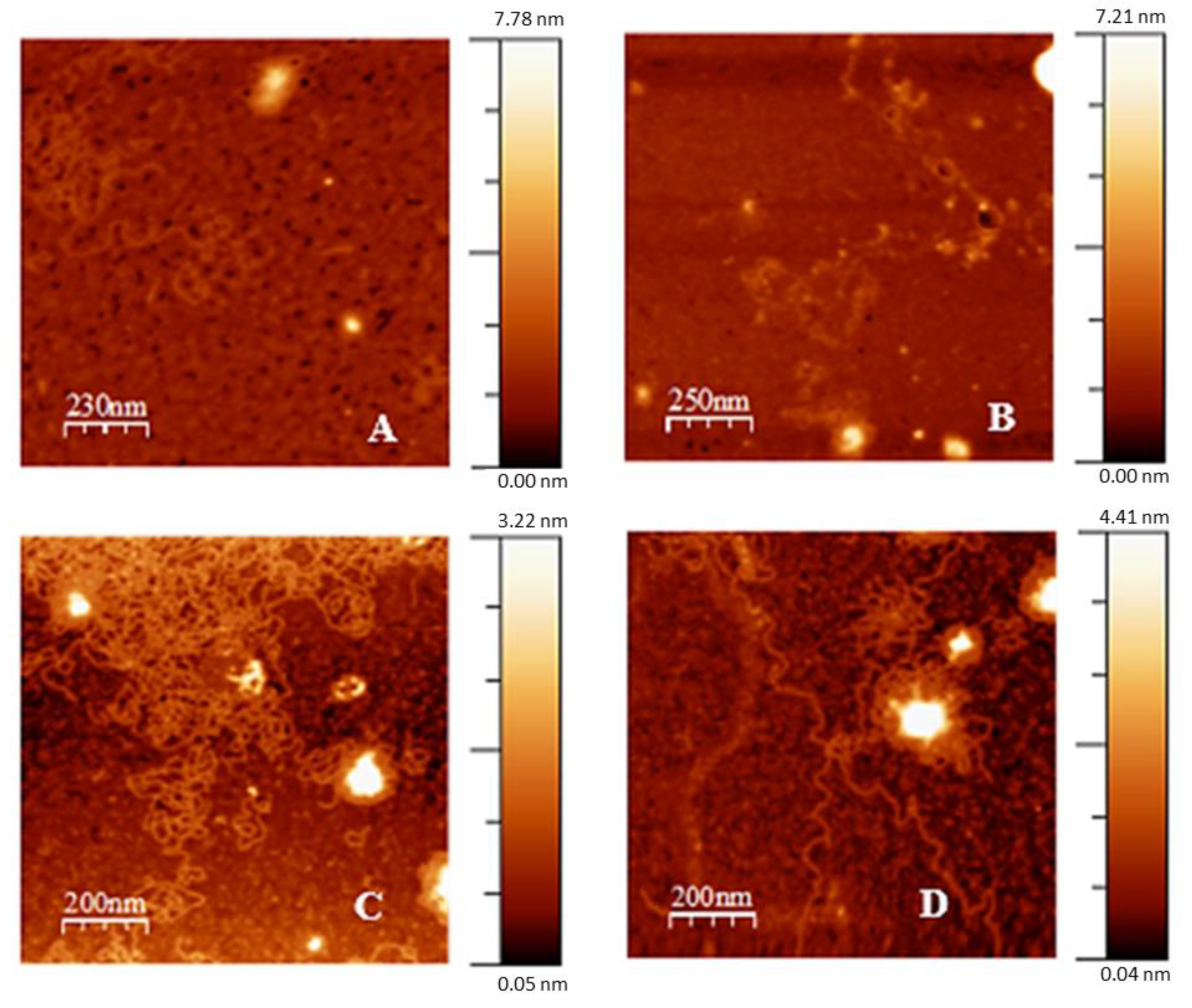 Chemosensors 10 00281 g010