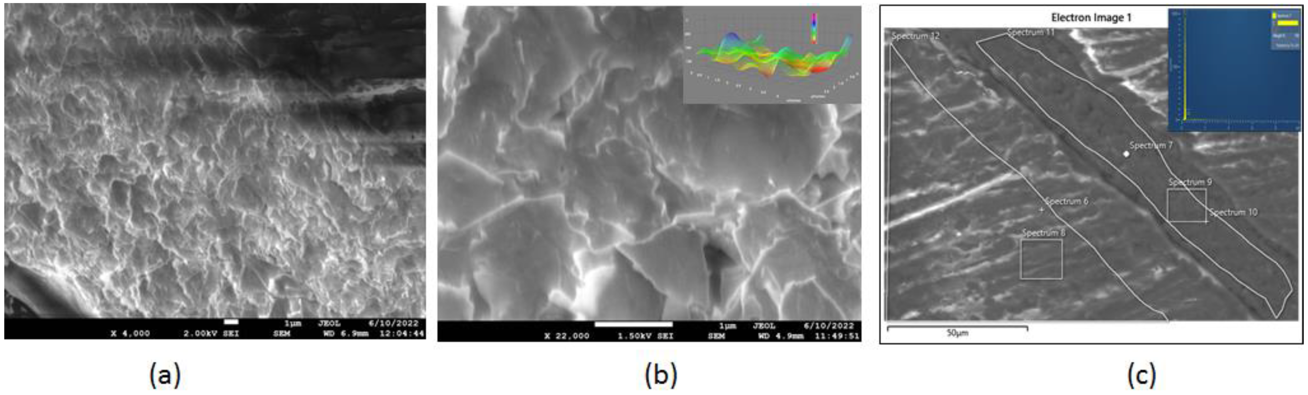 Chemosensors 10 00283 g001