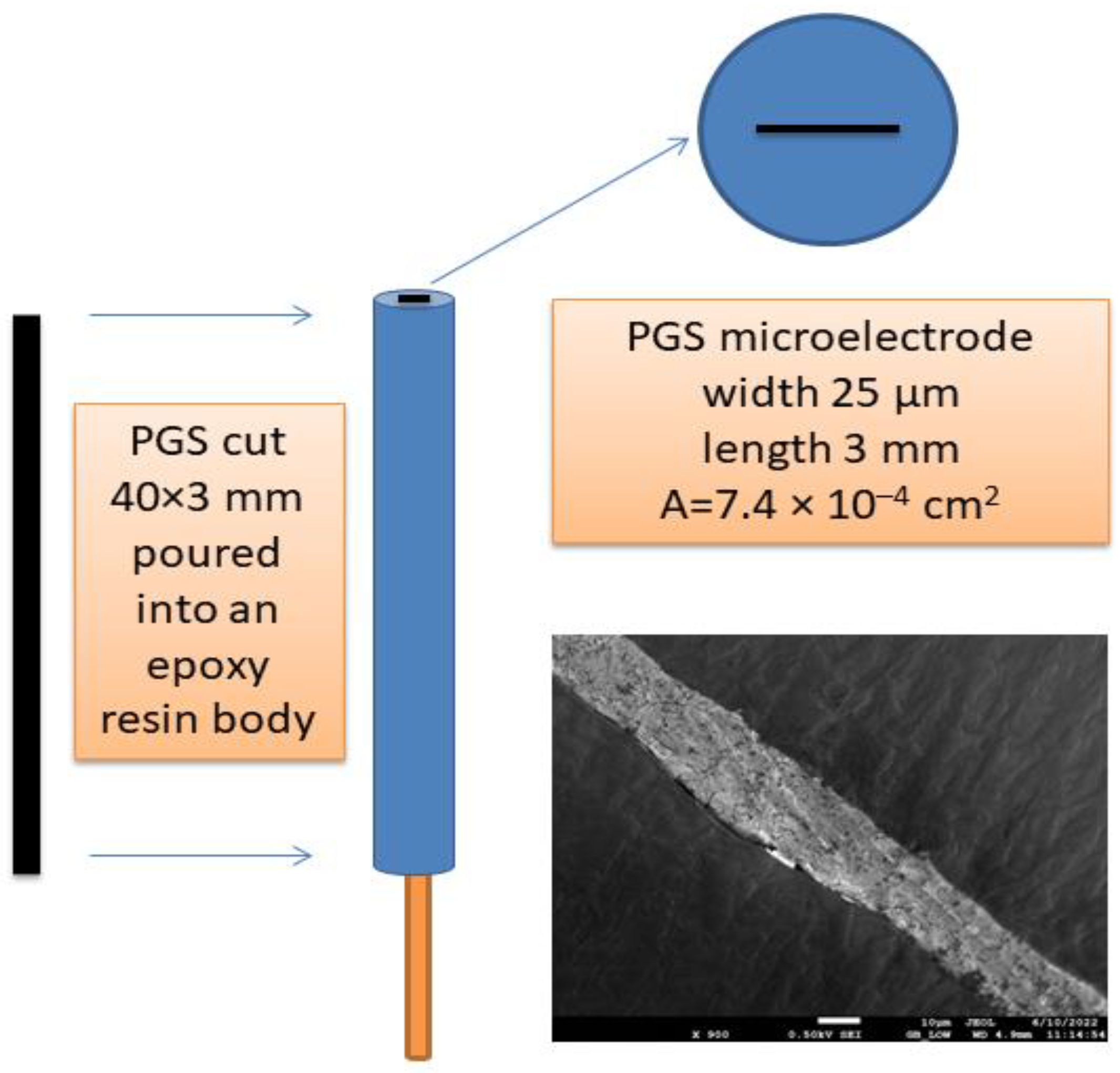 Chemosensors 10 00283 sch001