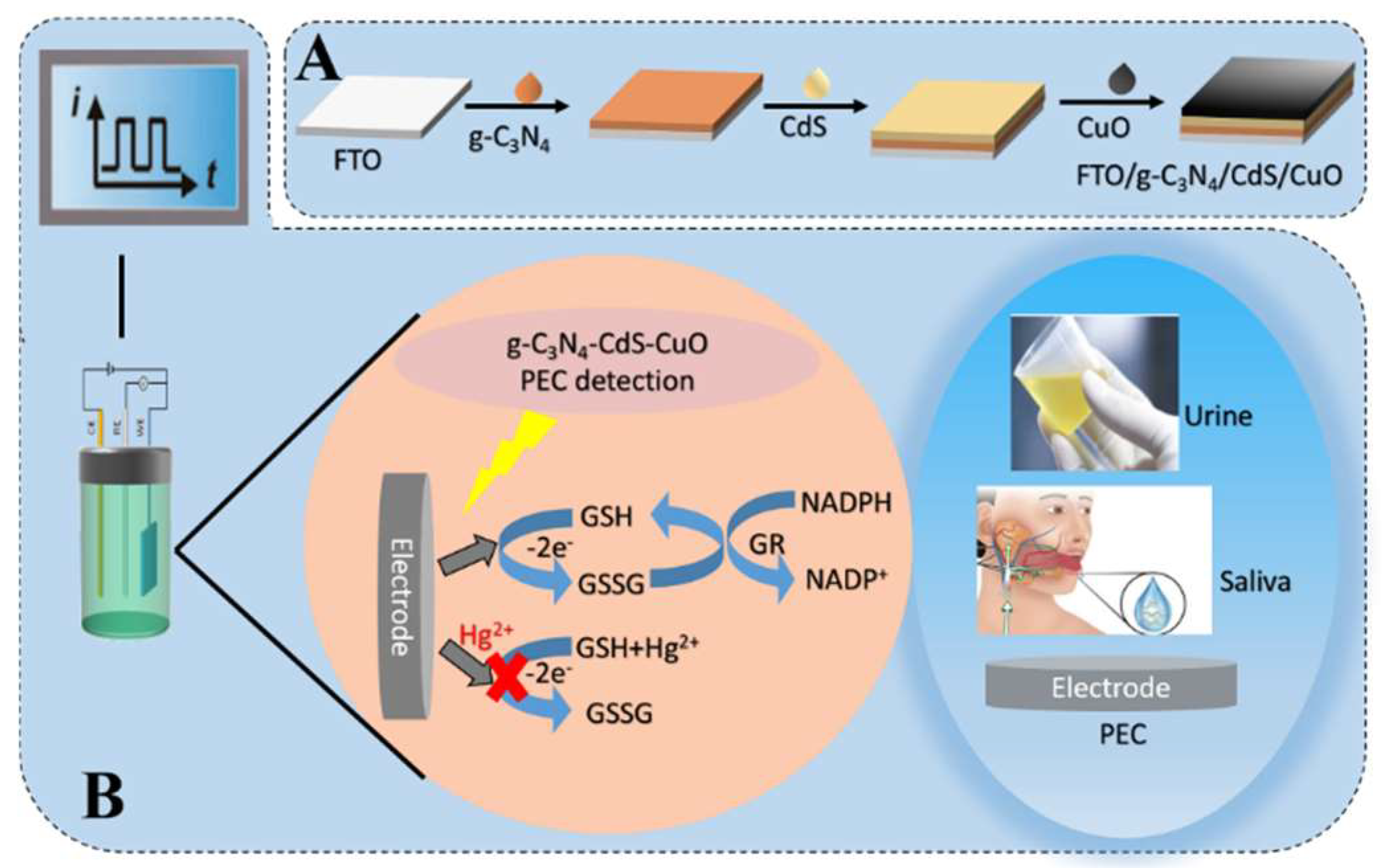 Chemosensors 10 00286 sch001