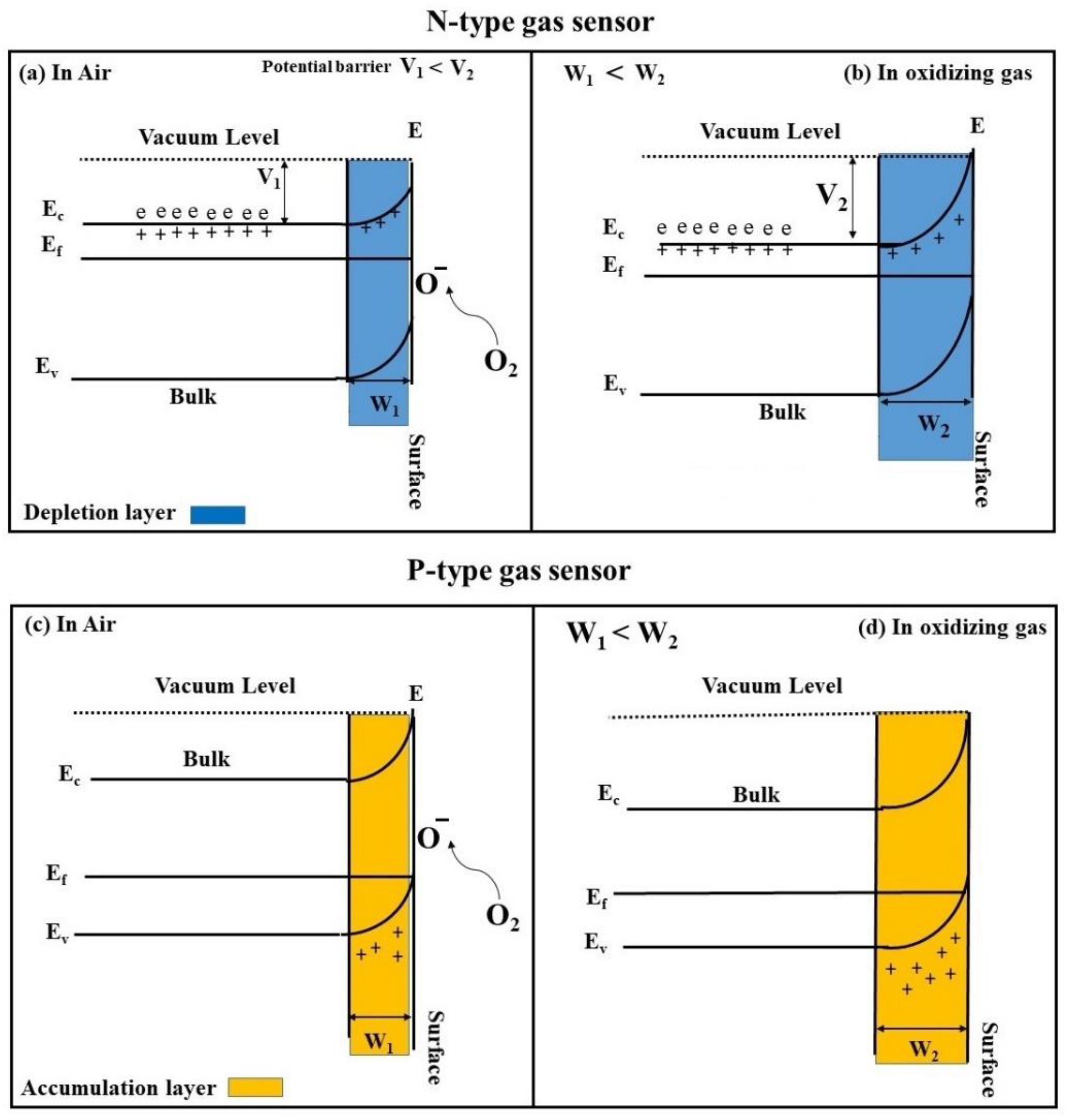 Chemosensors 10 00289 g003